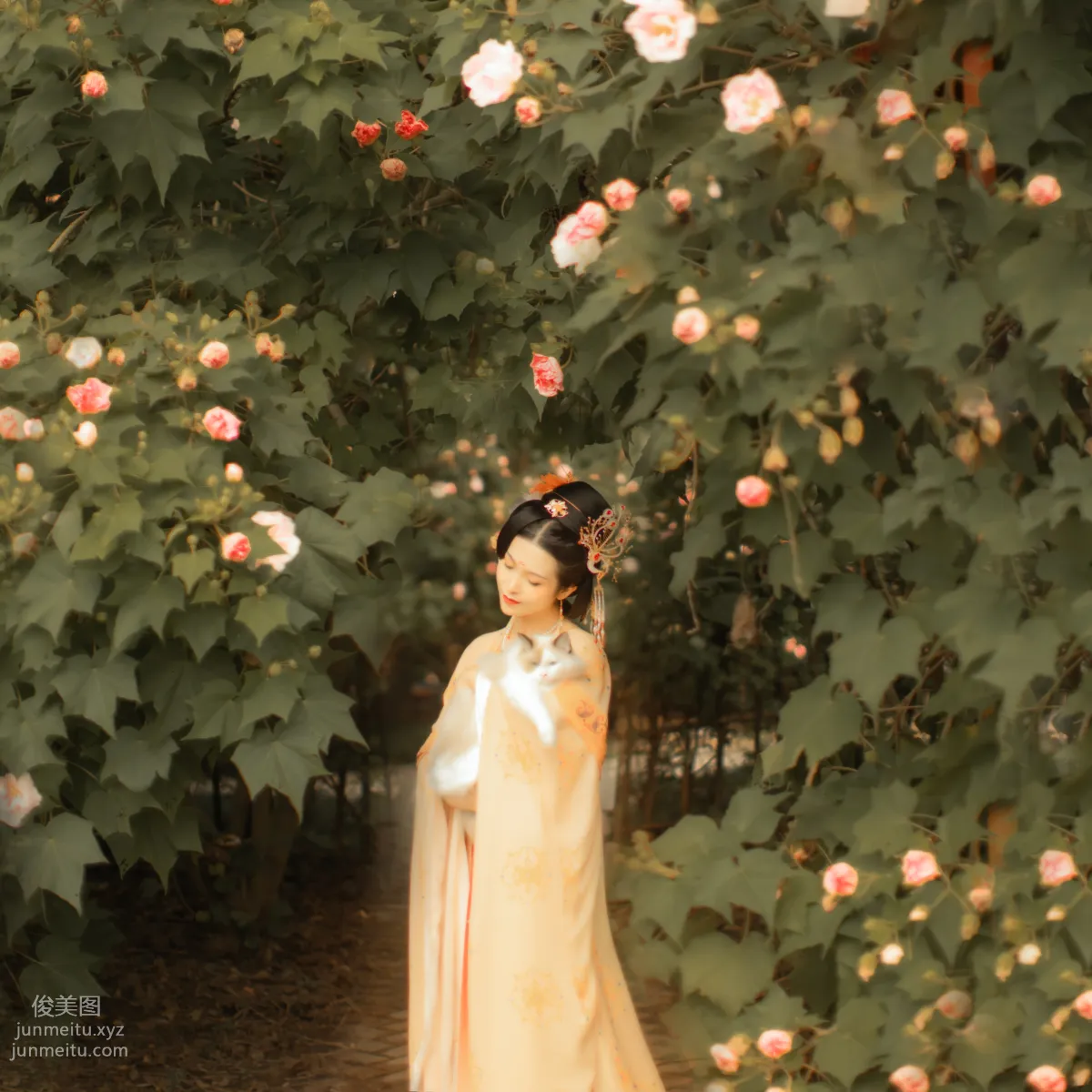 [YiTuYu] 2021.11.18 Furong Ci, Xiushui Ninghua photo 33