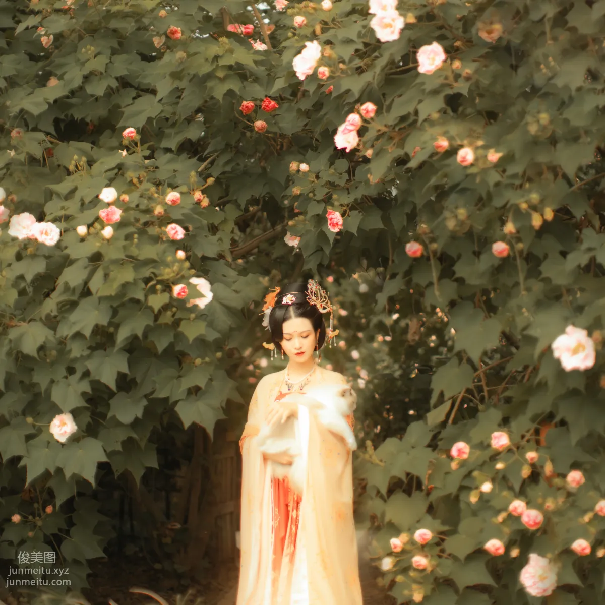 [YiTuYu] 2021.11.18 Furong Ci, Xiushui Ninghua photo 34