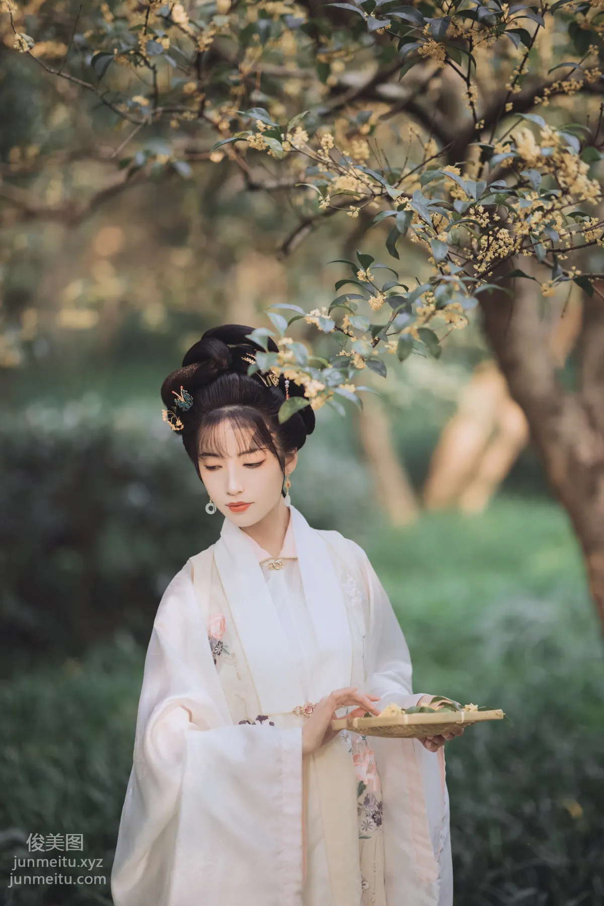 [YiTuYu] 2021.11.22 Osmanthus Brew, Yizhi Ameng Zai photo 13
