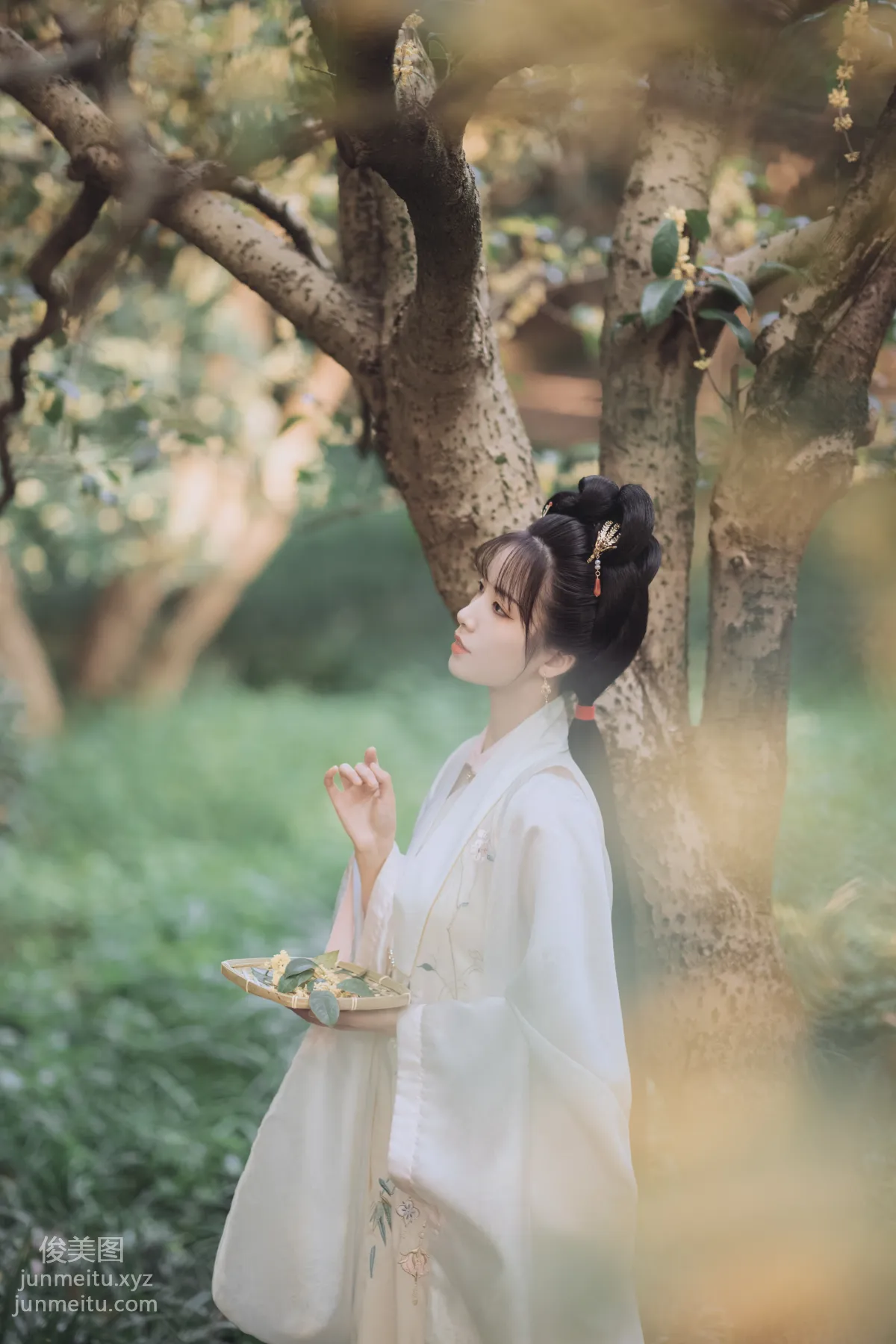 [YiTuYu] 2021.11.22 Osmanthus Brew, Yizhi Ameng Zai photo 24