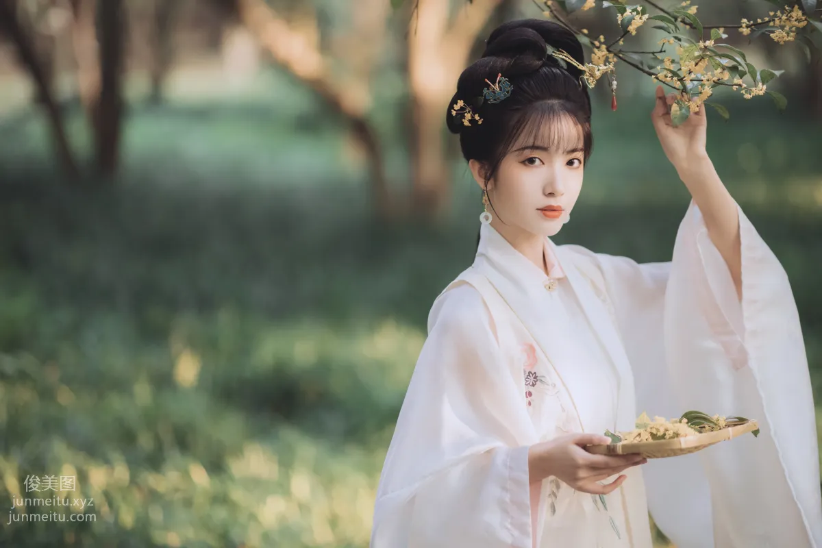 [YiTuYu] 2021.11.22 Osmanthus Brew, Yizhi Ameng Zai photo 30