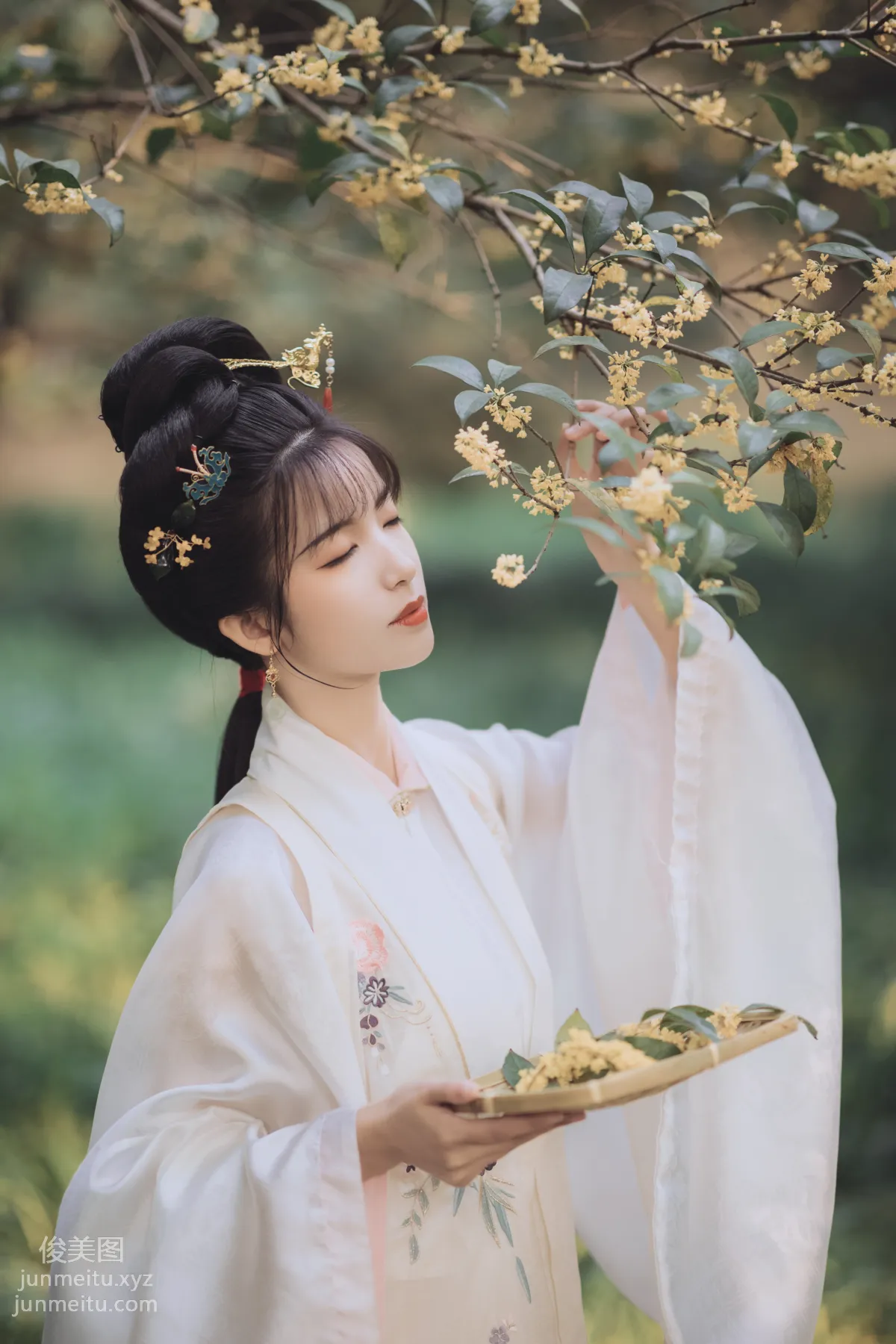 [YiTuYu] 2021.11.22 Osmanthus Brew, Yizhi Ameng Zai photo 35