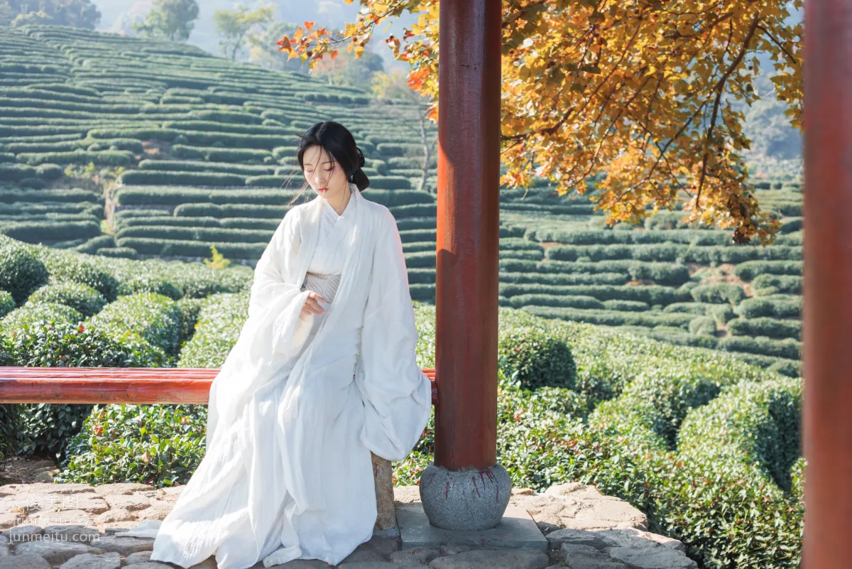 Yige Bailu: YiTuYu photo 5