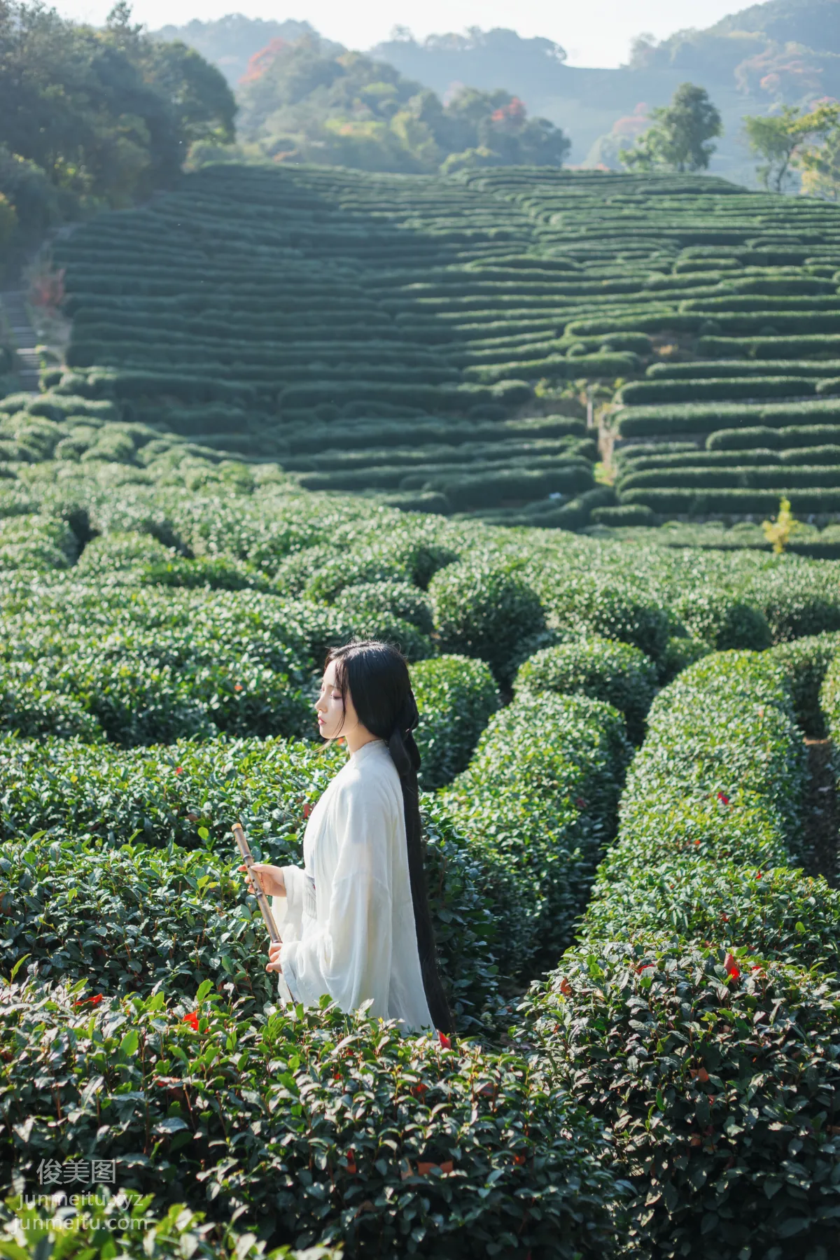 Yige Bailu: YiTuYu photo 9