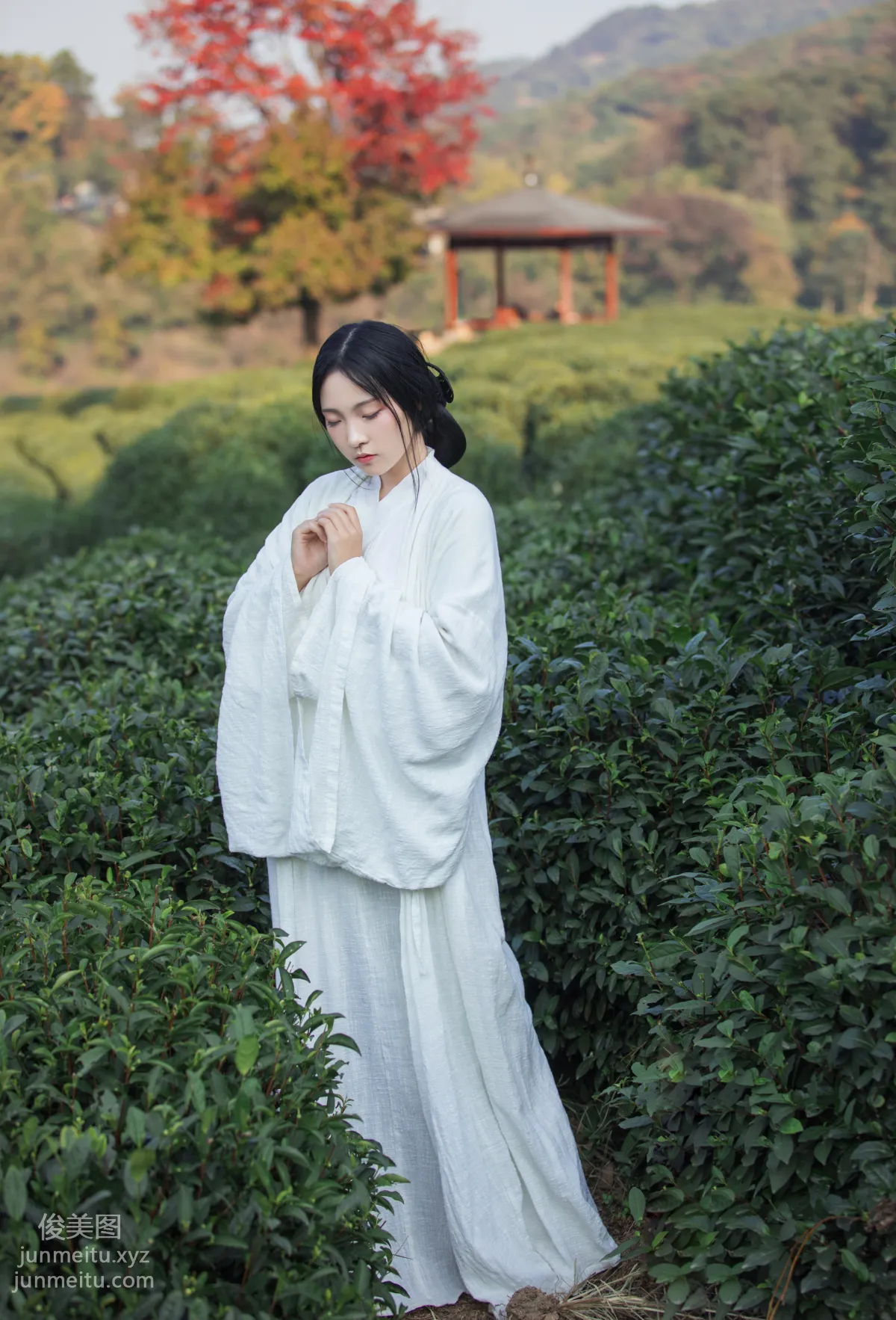 Yige Bailu: YiTuYu photo 15