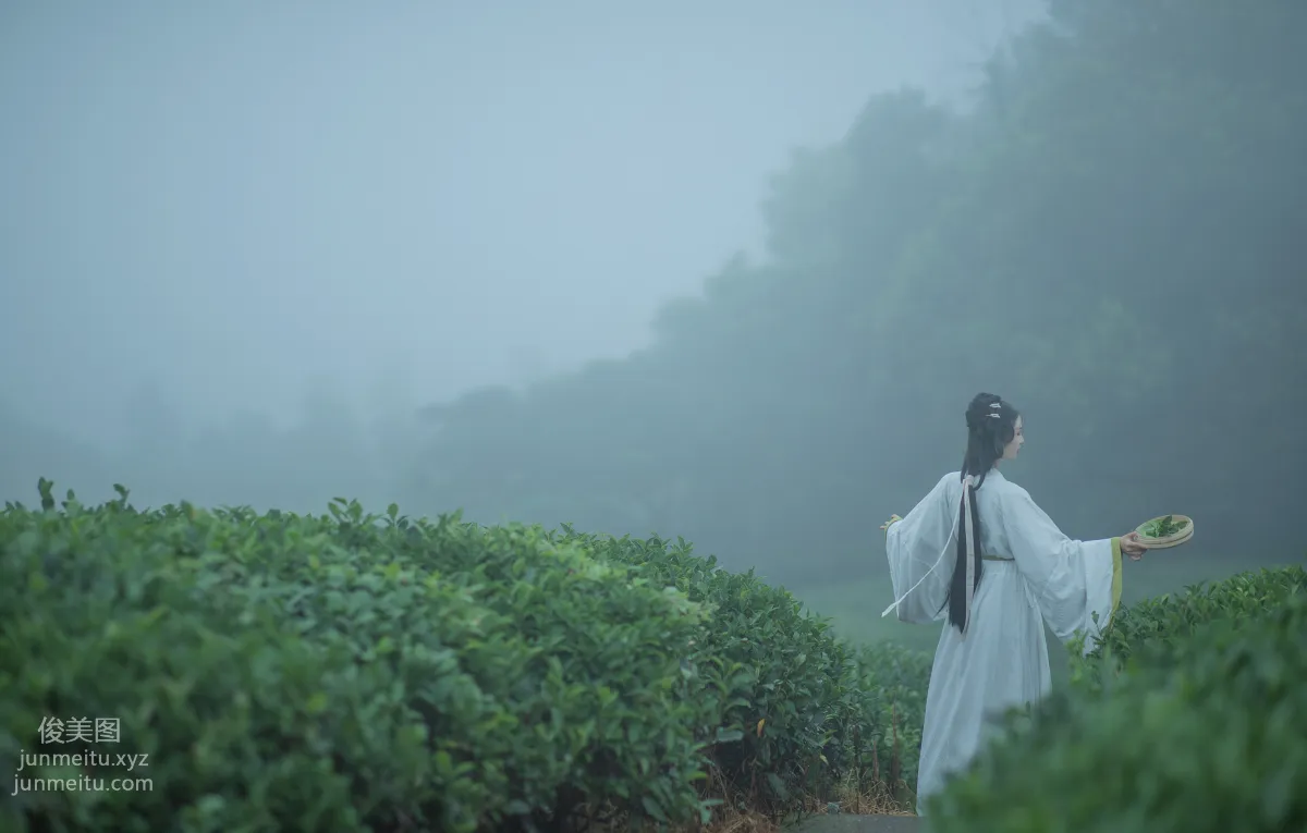 [YiTuYu] 2021.12.02 Tea Picking Girl, Shiba Chongchuan photo 3
