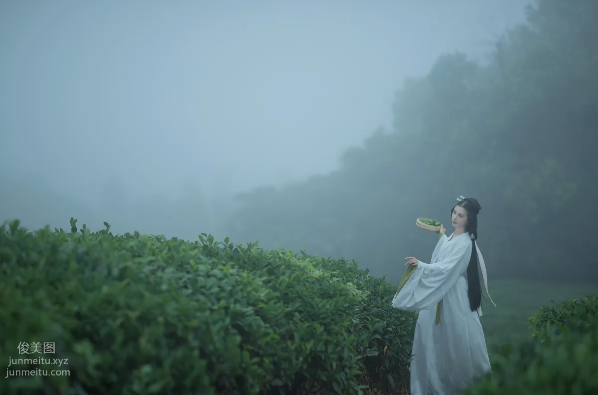 [YiTuYu] 2021.12.02 Tea Picking Girl, Shiba Chongchuan photo 4