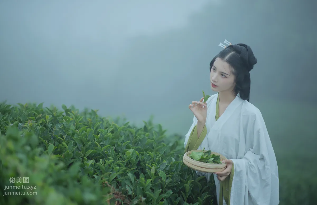 [YiTuYu] 2021.12.02 Tea Picking Girl, Shiba Chongchuan photo 7