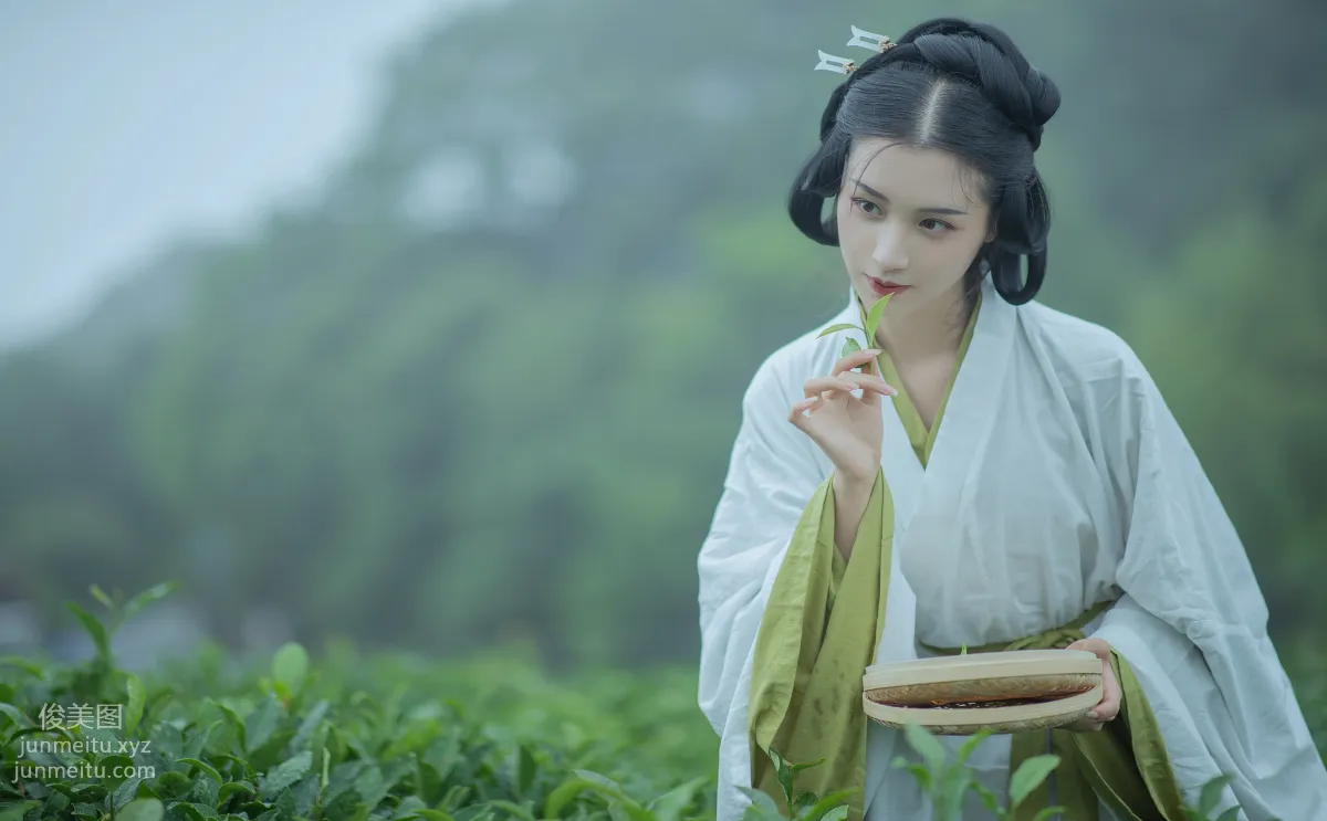 [YiTuYu] 2021.12.02 Tea Picking Girl, Shiba Chongchuan photo 13
