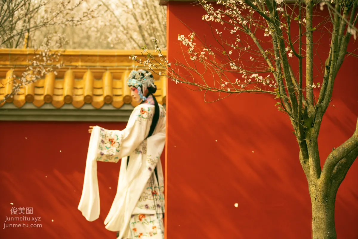 [YiTuYu] 2021.12.18 Flowers Fill the Branches Xiushui Ninghua photo 7