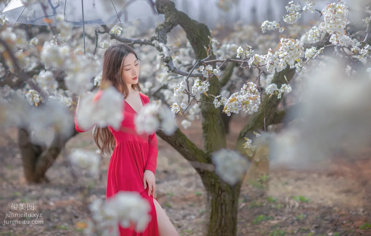 Ru Yi: YiTuYu photo 5