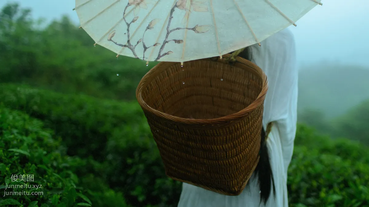 Chu Cha: YiTuYu photo 5