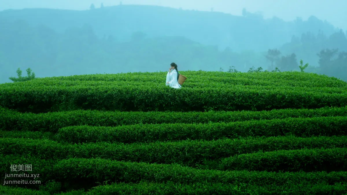 Chu Cha: YiTuYu photo 24