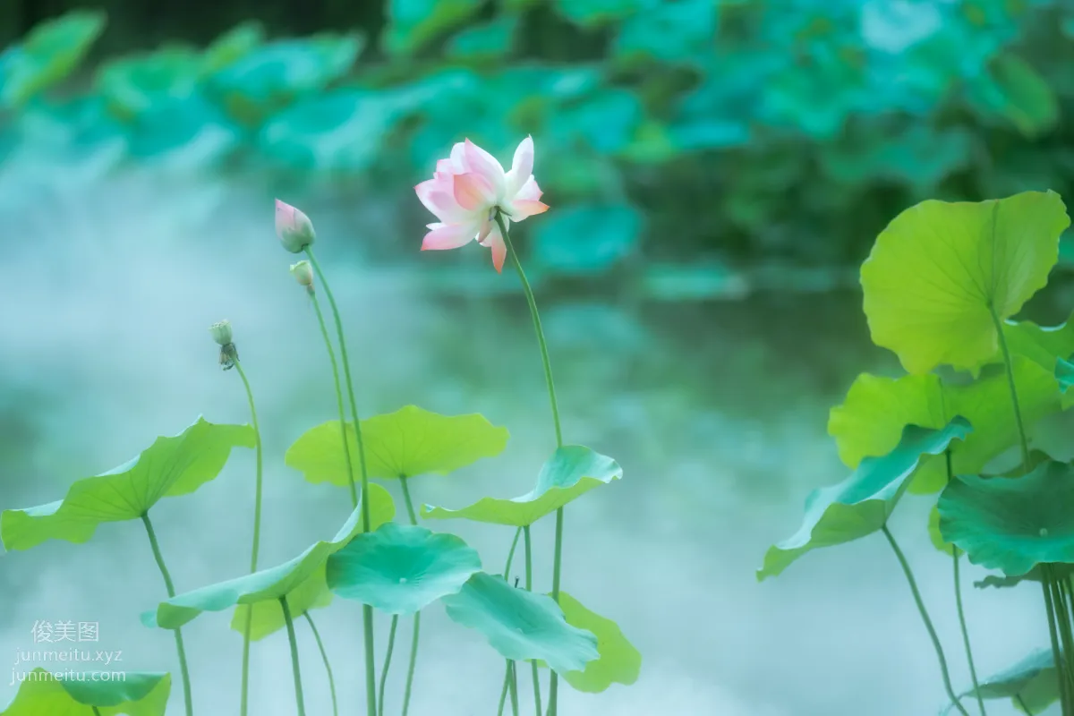 [YiTuYu] 2021.12.25 Twin Flowers Xiushui Ninghua photo 18