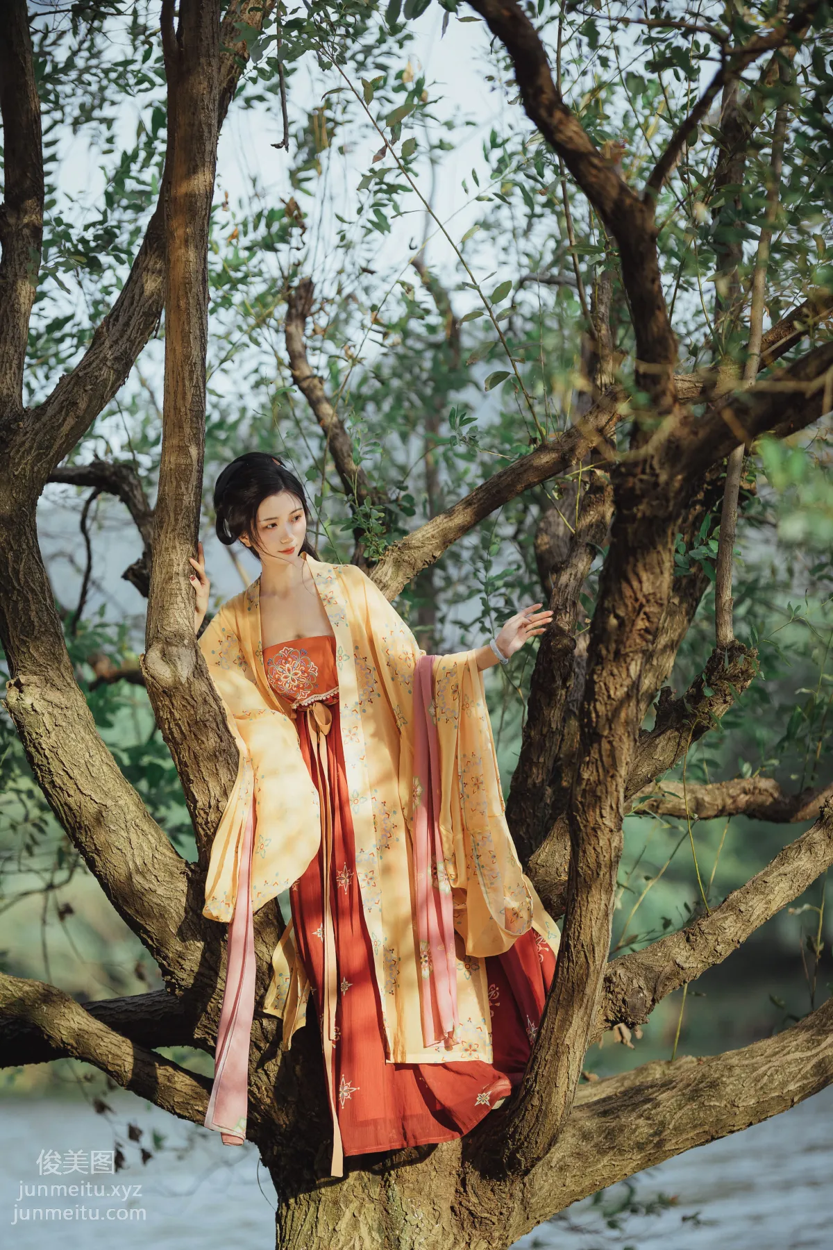 Hong Li: YiTuYu photo 19
