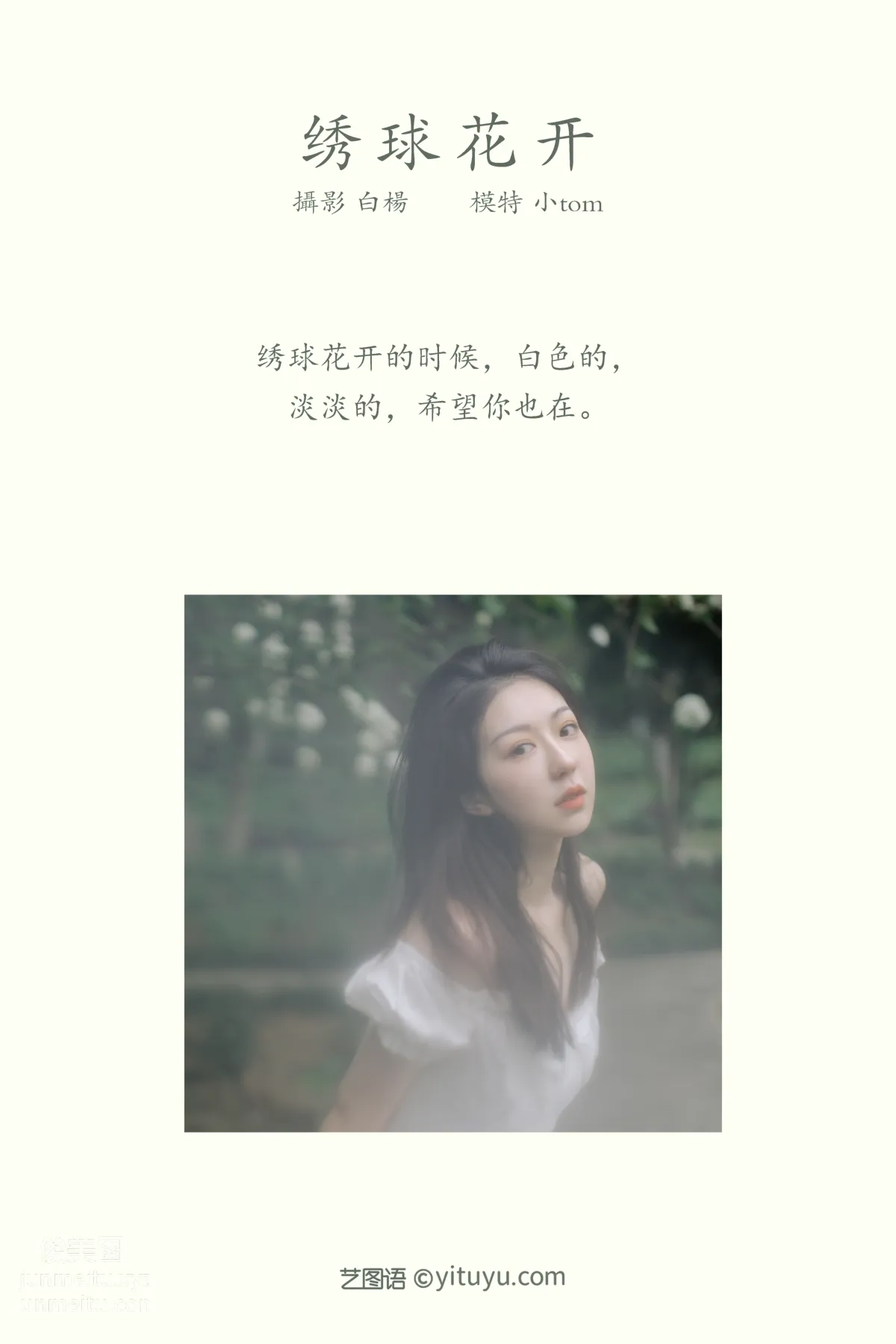 Xiao tom: YiTuYu photo 1
