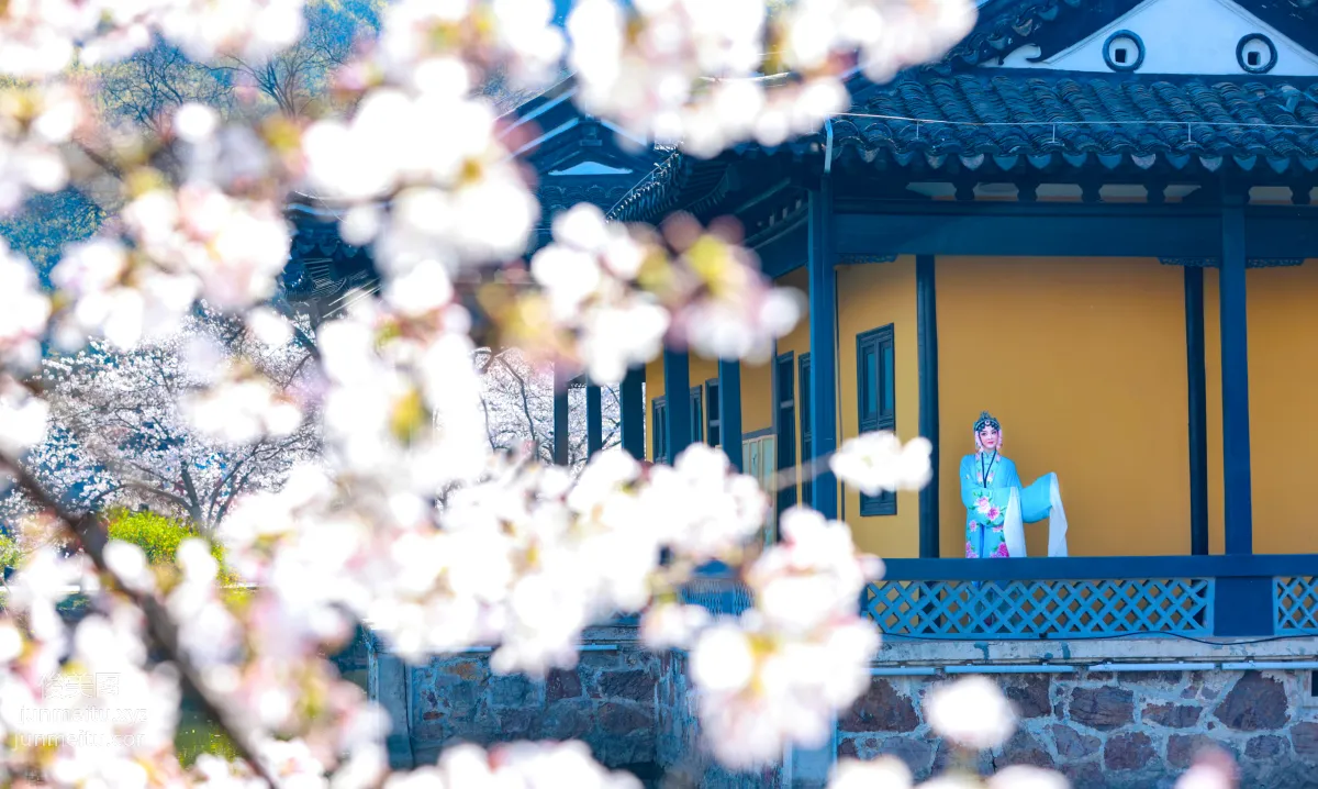 Dan Qiong: YiTuYu photo 3