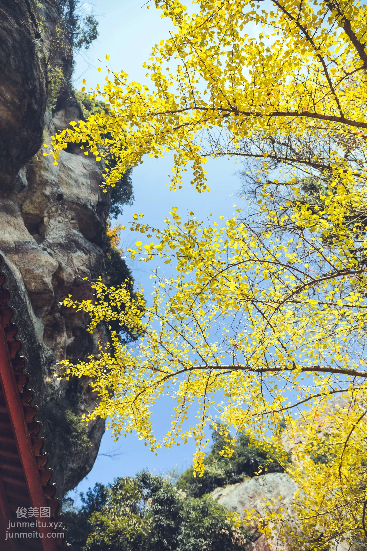 Mao Yaqi: YiTuYu photo 14