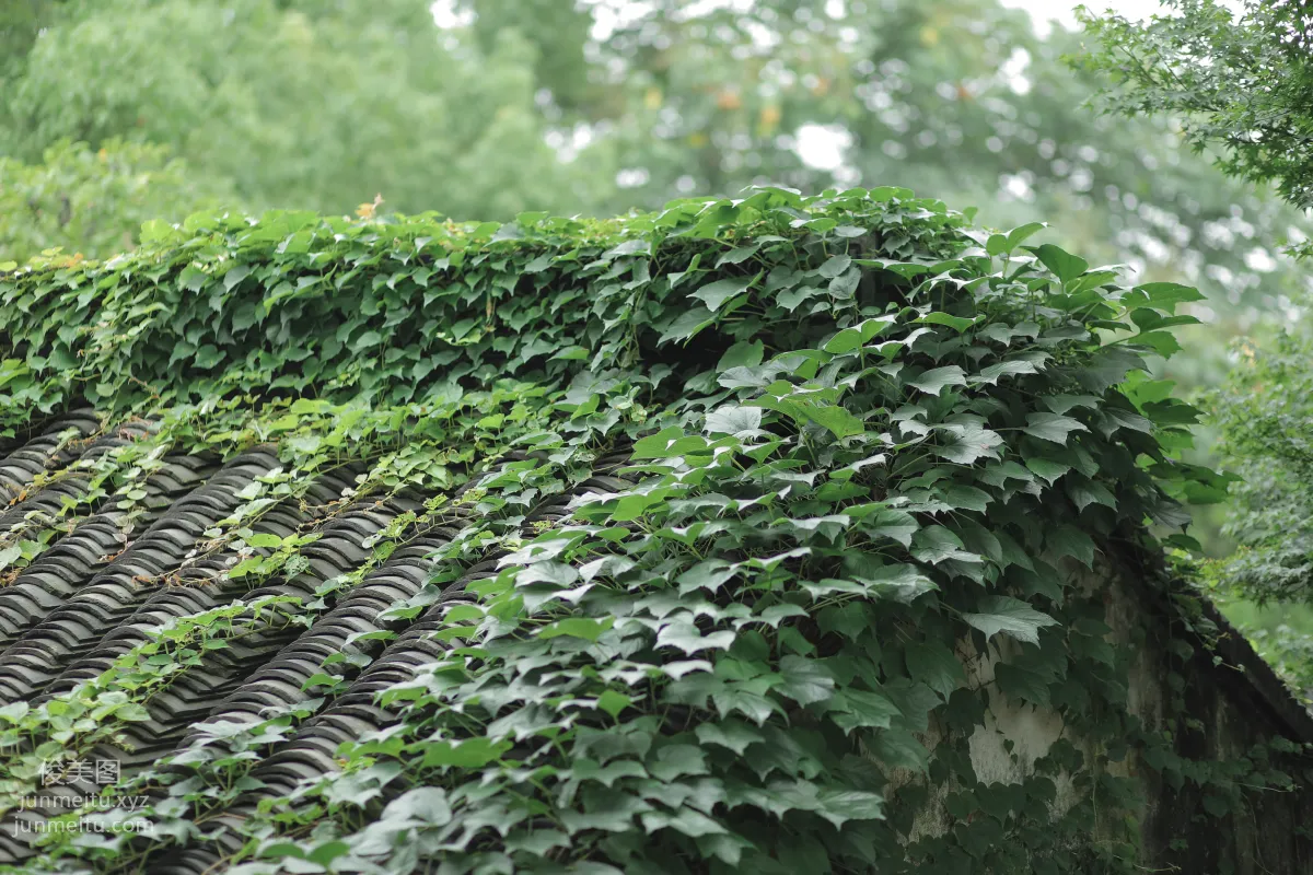 Liu Liu: YiTuYu photo 7