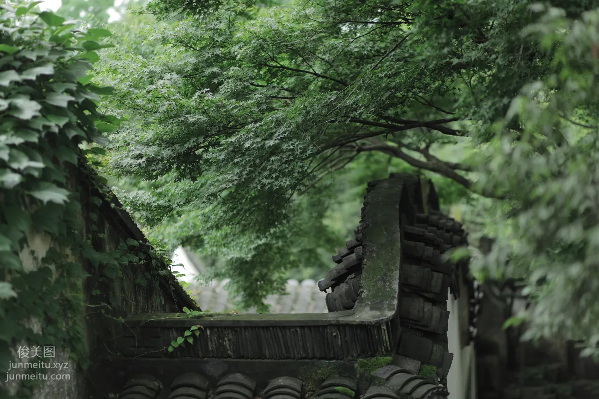 Liu Liu: YiTuYu photo 14