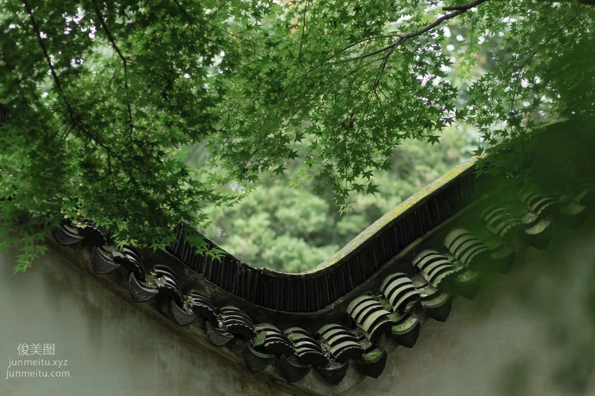 Liu Liu: YiTuYu photo 26