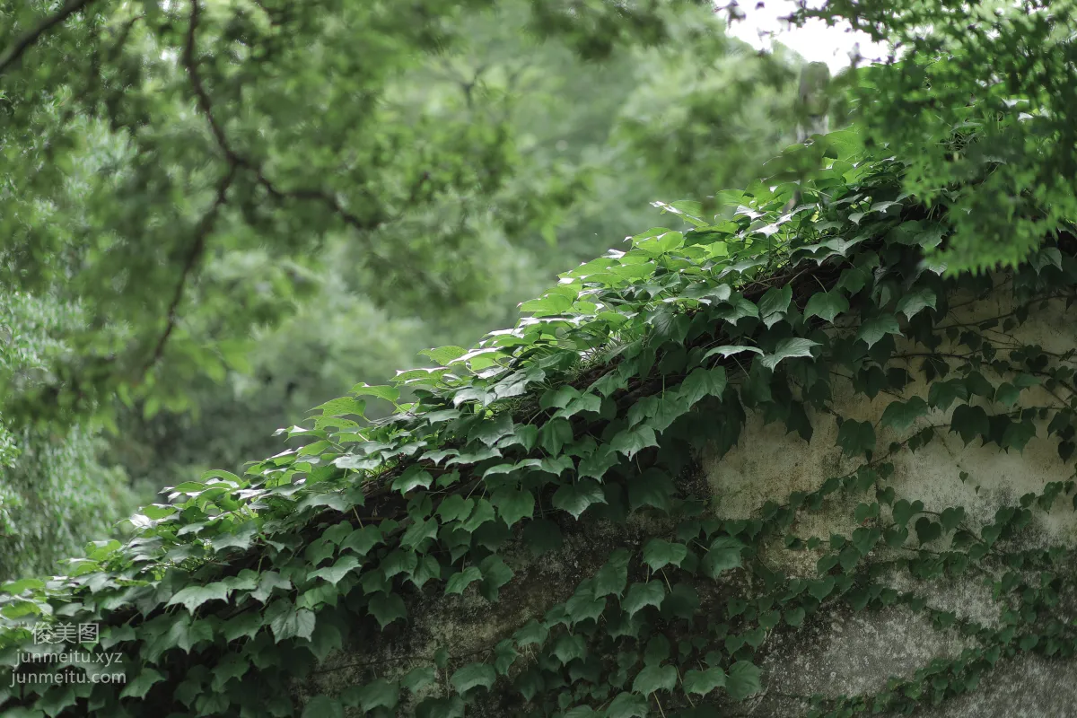 Liu Liu: YiTuYu photo 29