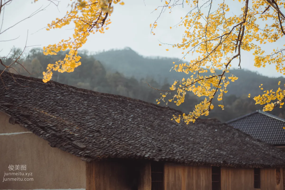 Xiong Anni: YiTuYu photo 21