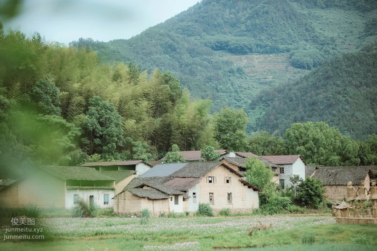 Han Zhen: YiTuYu photo 2