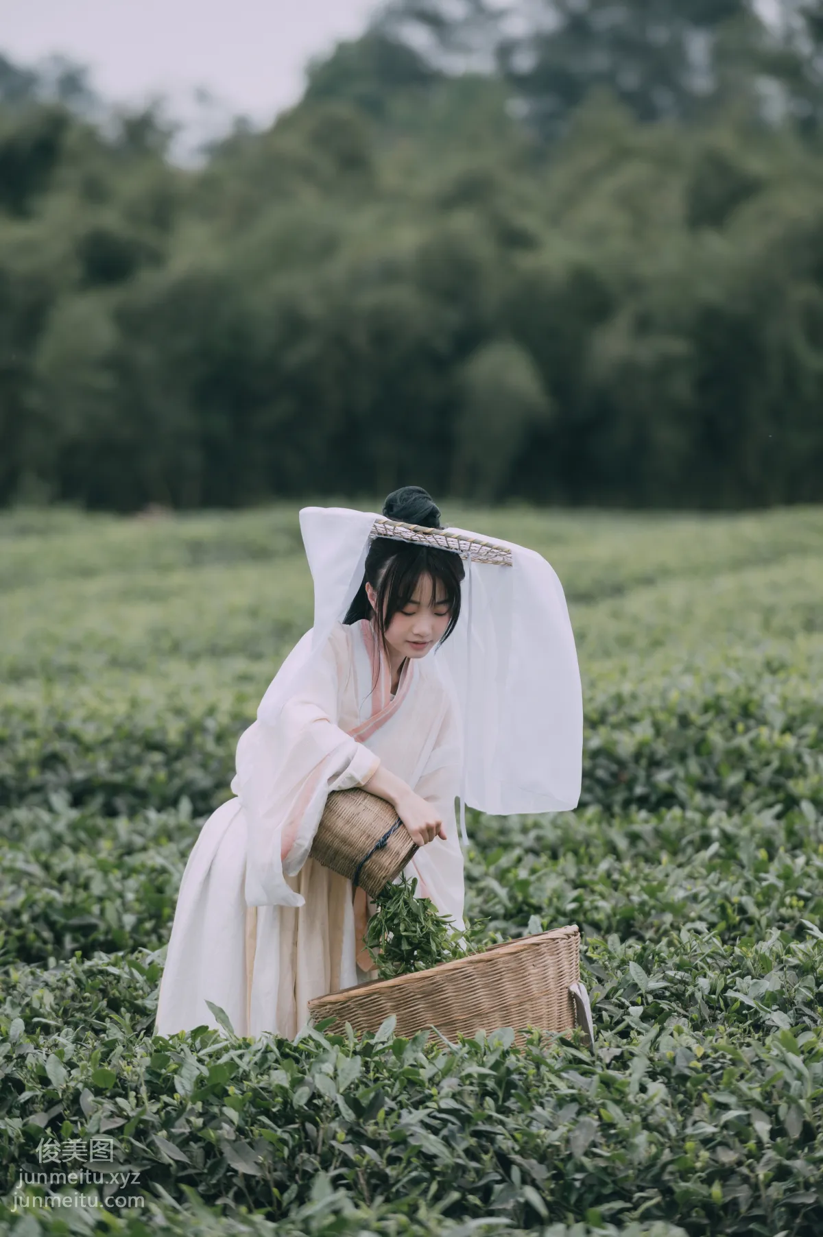 Ceng Fan: YiTuYu photo 18