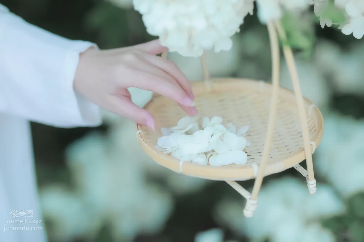 [YiTuYu] 2022.05.20 Bauhinia Blooming, Ruoxi icy photo 10
