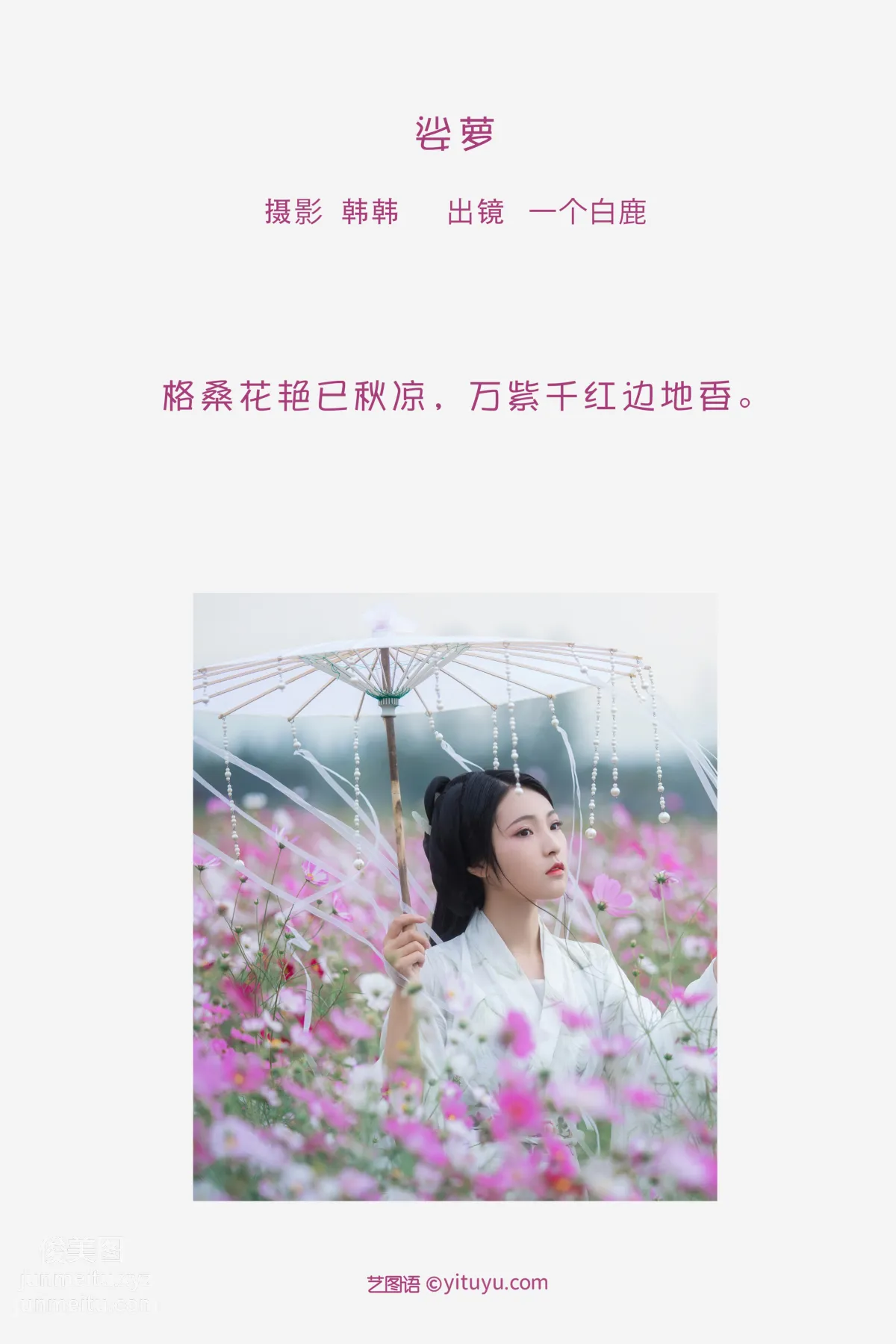 [藝圖語] 2022.05.23 娑蘿 一個白鹿 2
