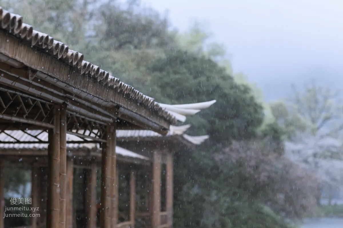 [YiTuYu] 2022.05.25 Rain Cherry Blossoms Mou Xiaoyao photo 6