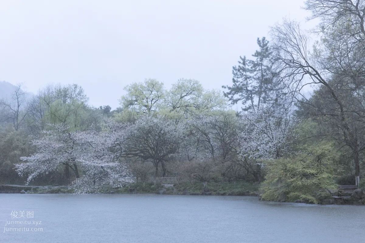 [YiTuYu] 2022.05.25 Rain Cherry Blossoms Mou Xiaoyao photo 36