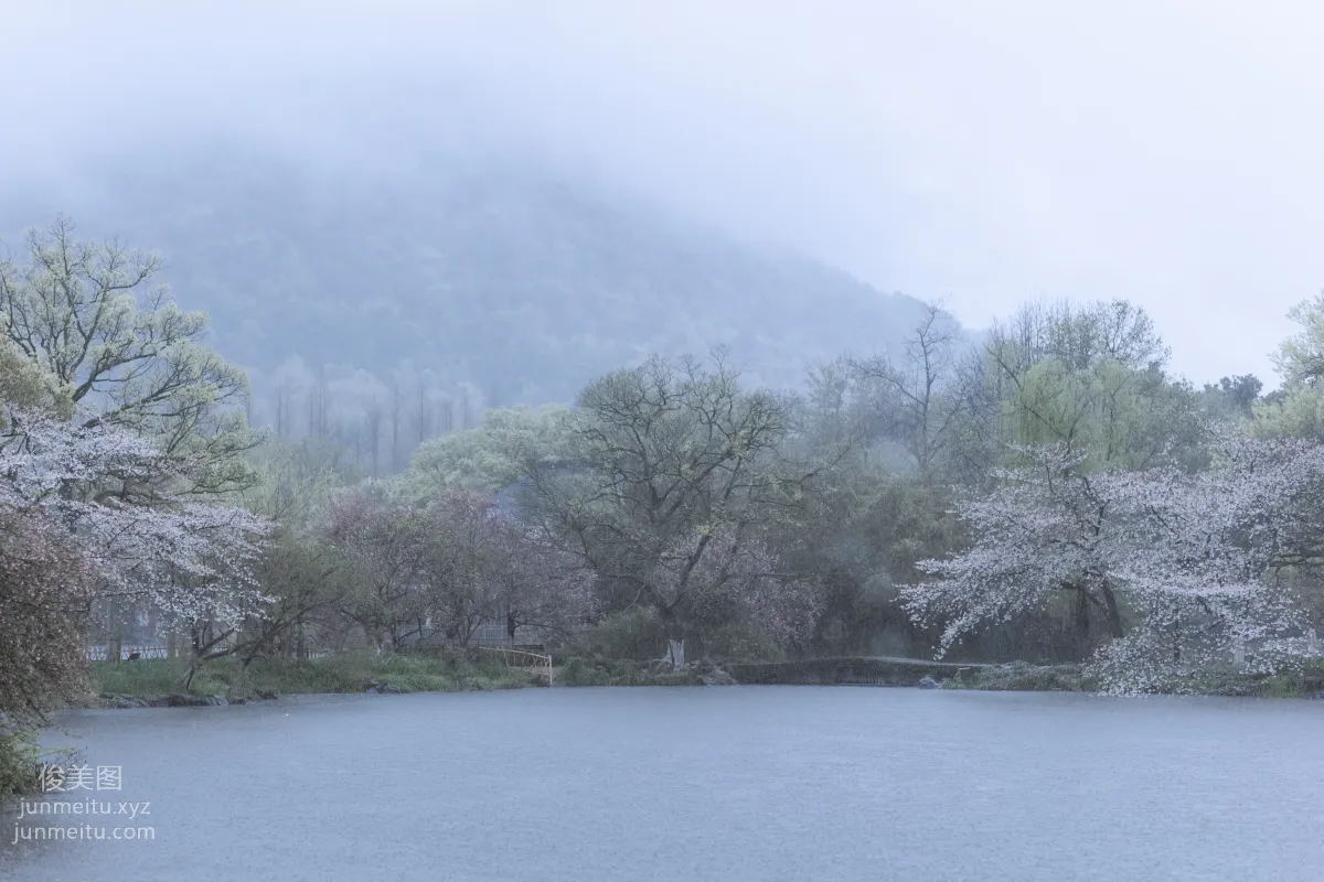 [YiTuYu] 2022.05.25 Rain Cherry Blossoms Mou Xiaoyao photo 44
