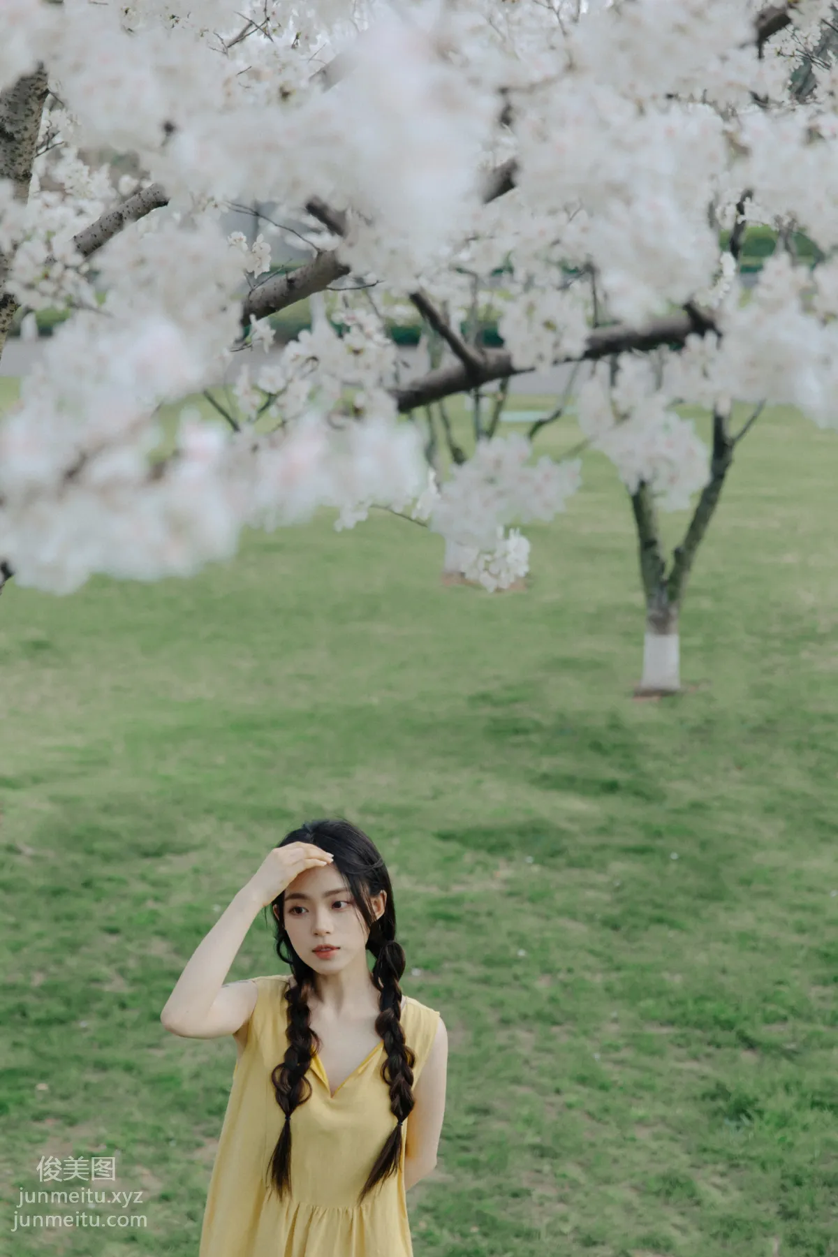 Jiuma MAA: YiTuYu photo 4