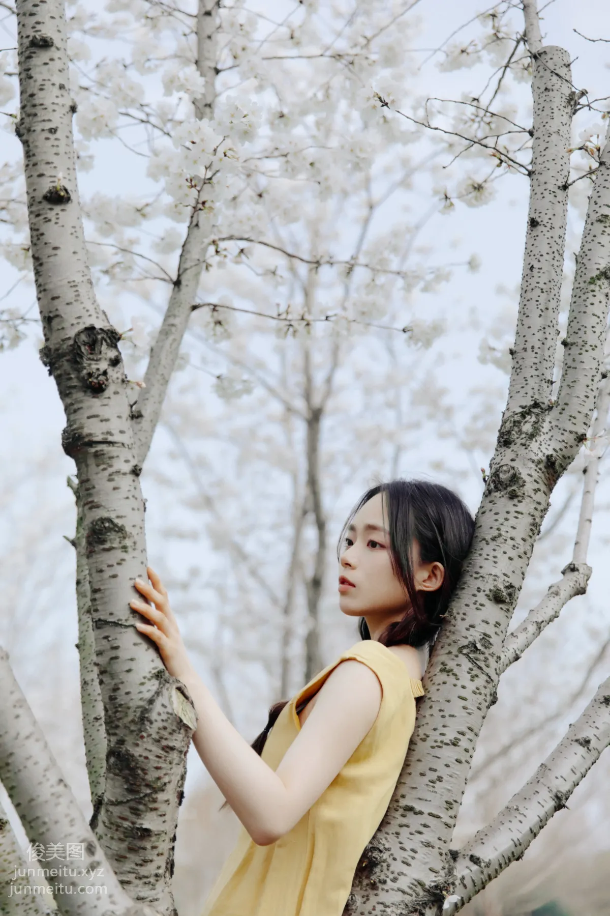 Jiuma MAA: YiTuYu photo 8