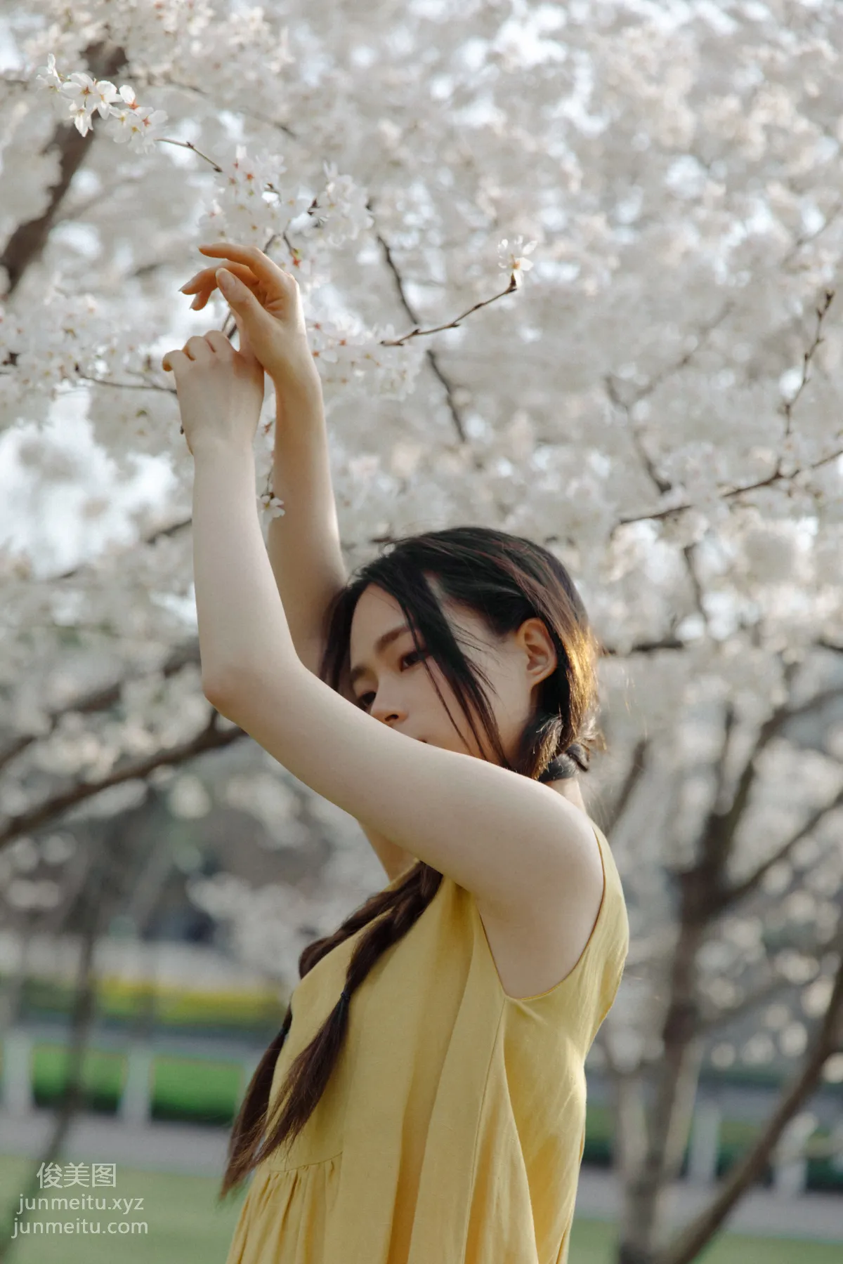 Jiuma MAA: YiTuYu photo 10