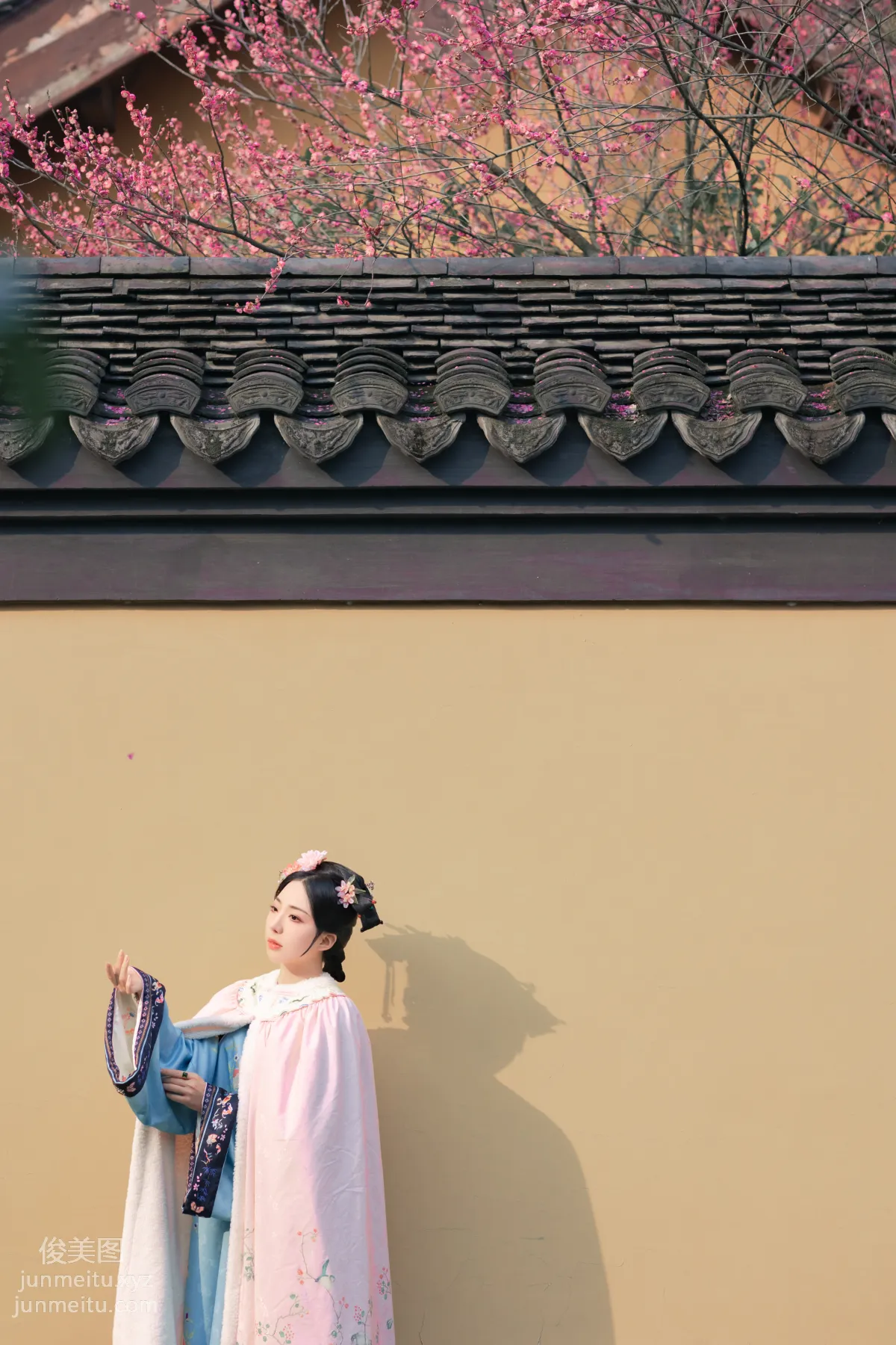 [YiTuYu] 2022.06.06 Seeking Plum Blossoms, Shizhen Denan Yuan photo 3