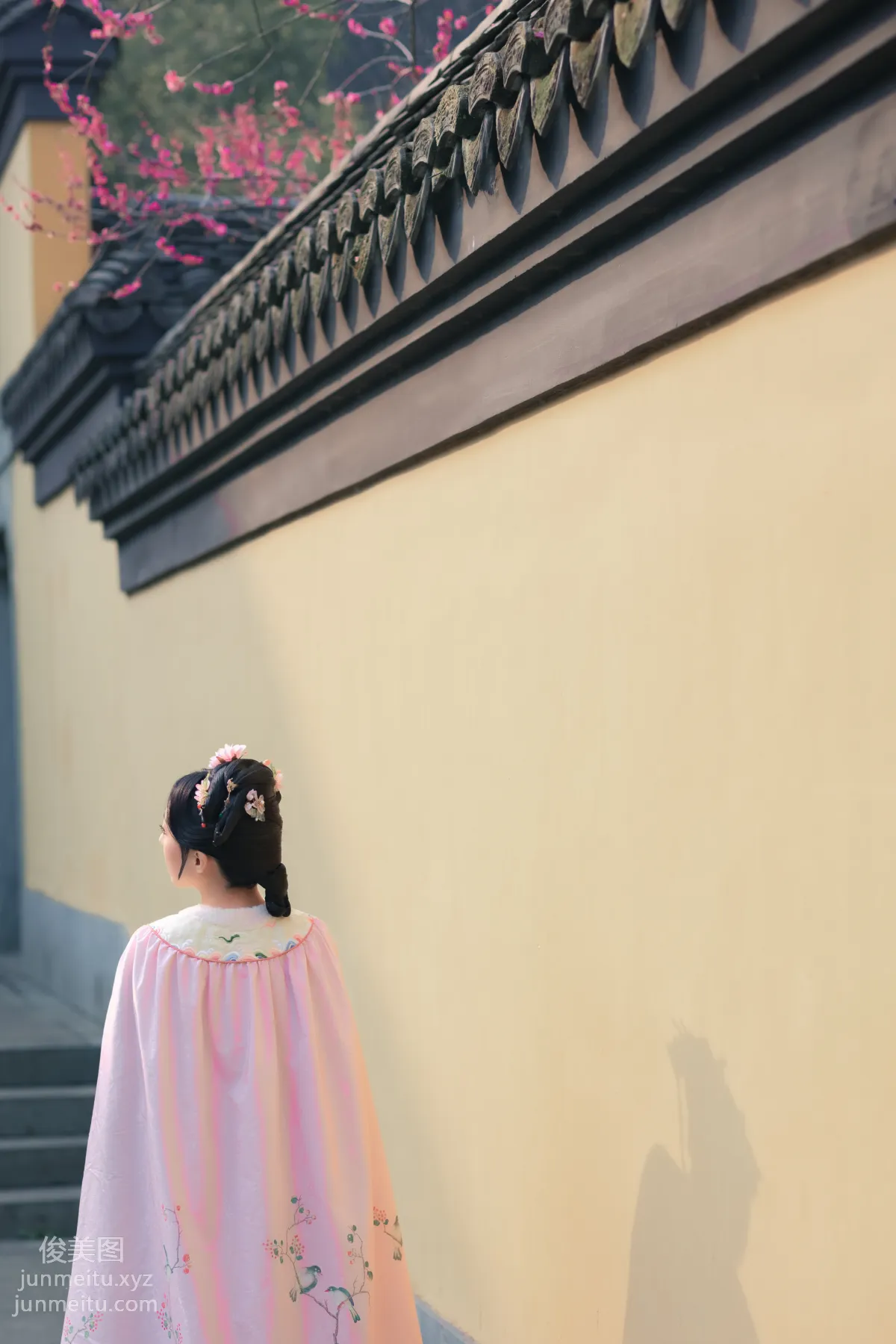 [YiTuYu] 2022.06.06 Seeking Plum Blossoms, Shizhen Denan Yuan photo 39