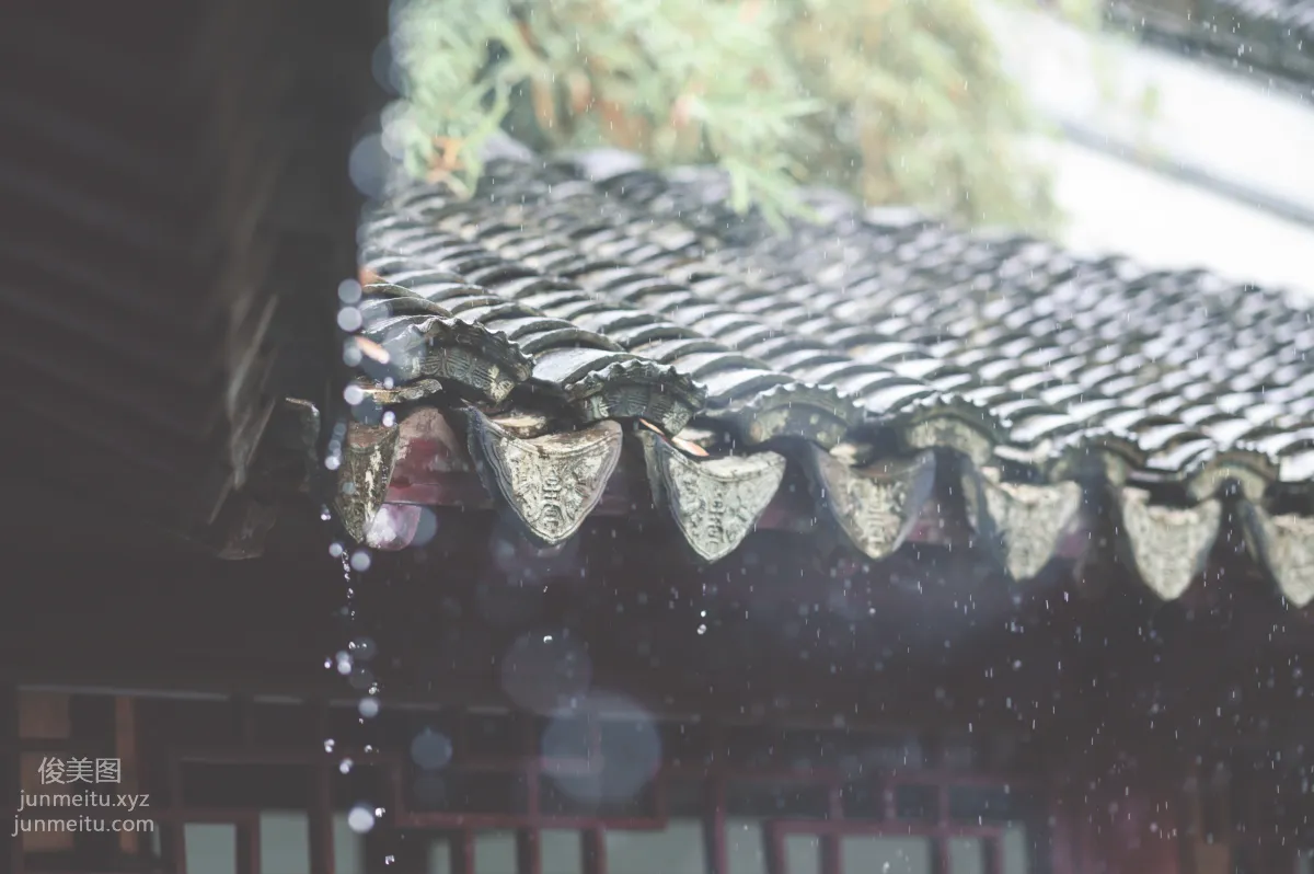 [YiTuYu] 2022.06.07 Green Snake, Haixingxing seastar photo 24