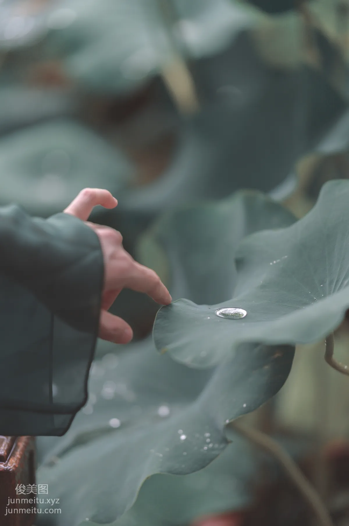 [YiTuYu] 2022.06.07 Green Snake, Haixingxing seastar photo 26