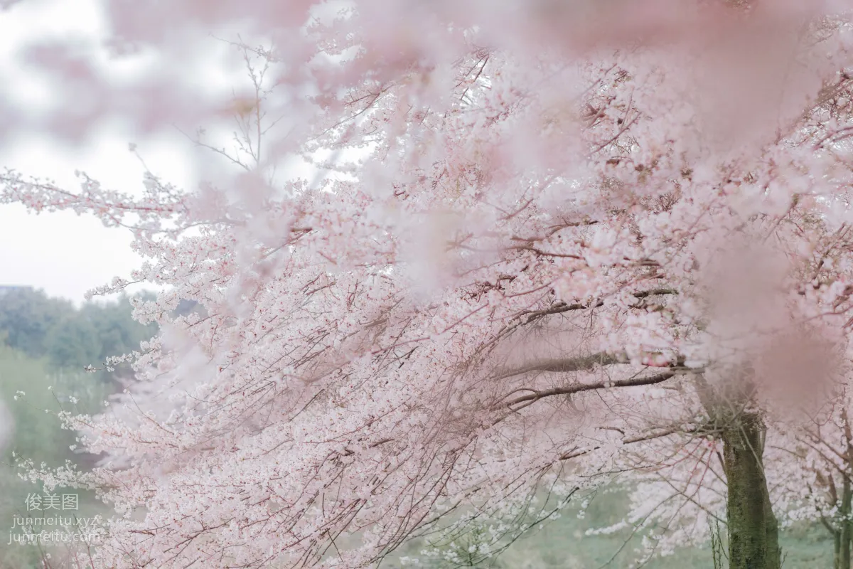 Tong Tong: YiTuYu photo 16