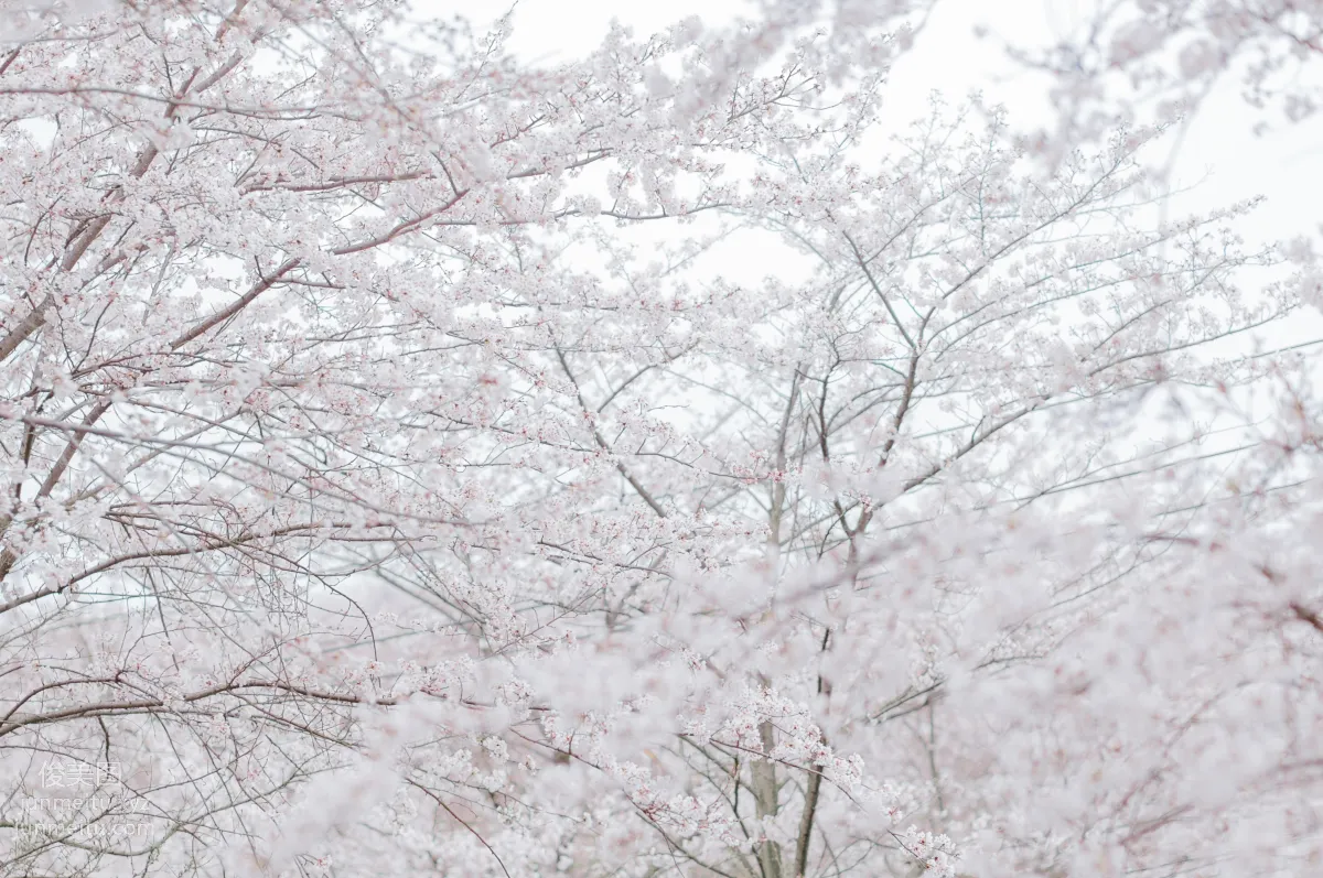 Tong Tong: YiTuYu photo 22