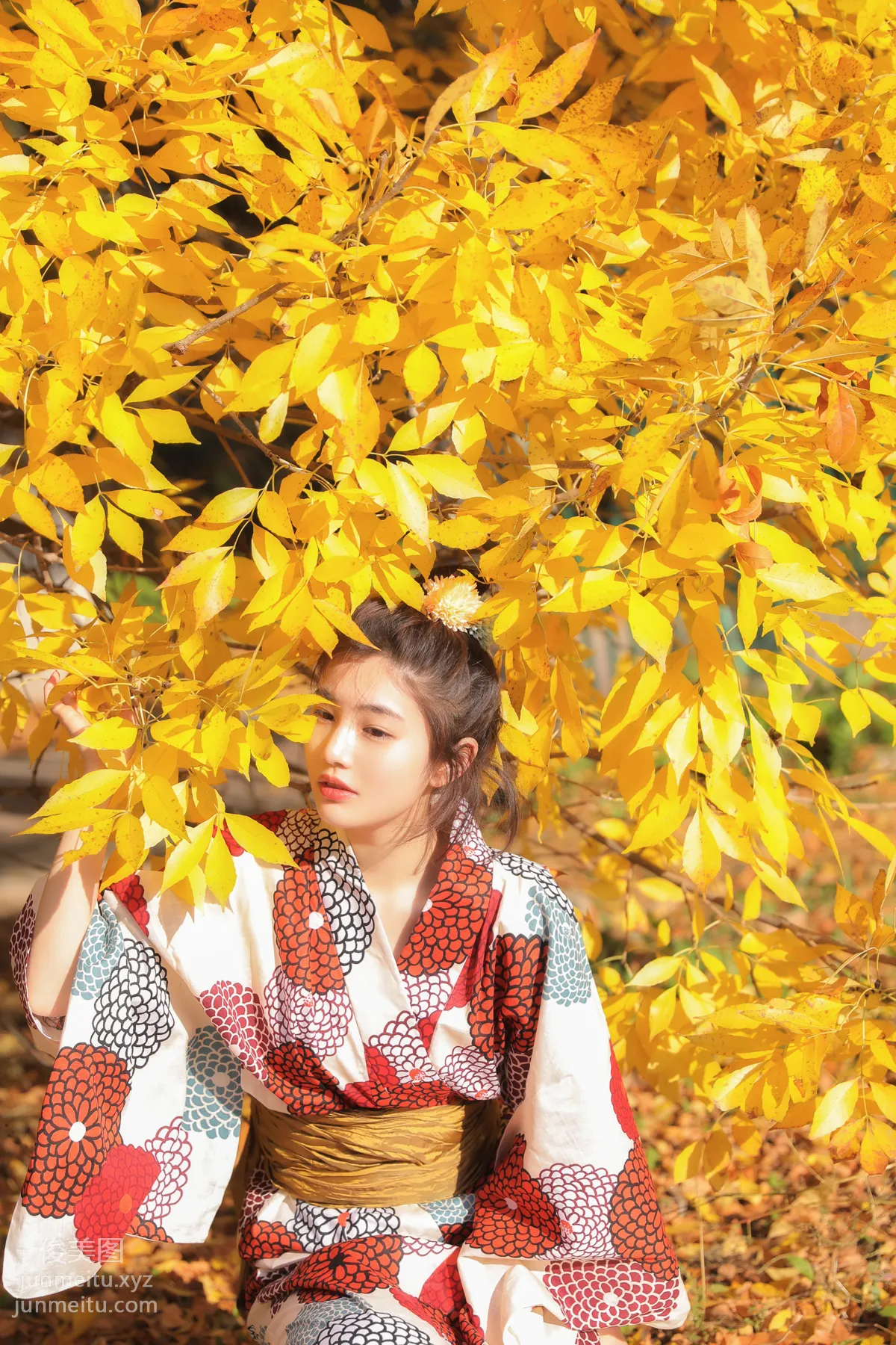 Fan Fan: YiTuYu photo 3