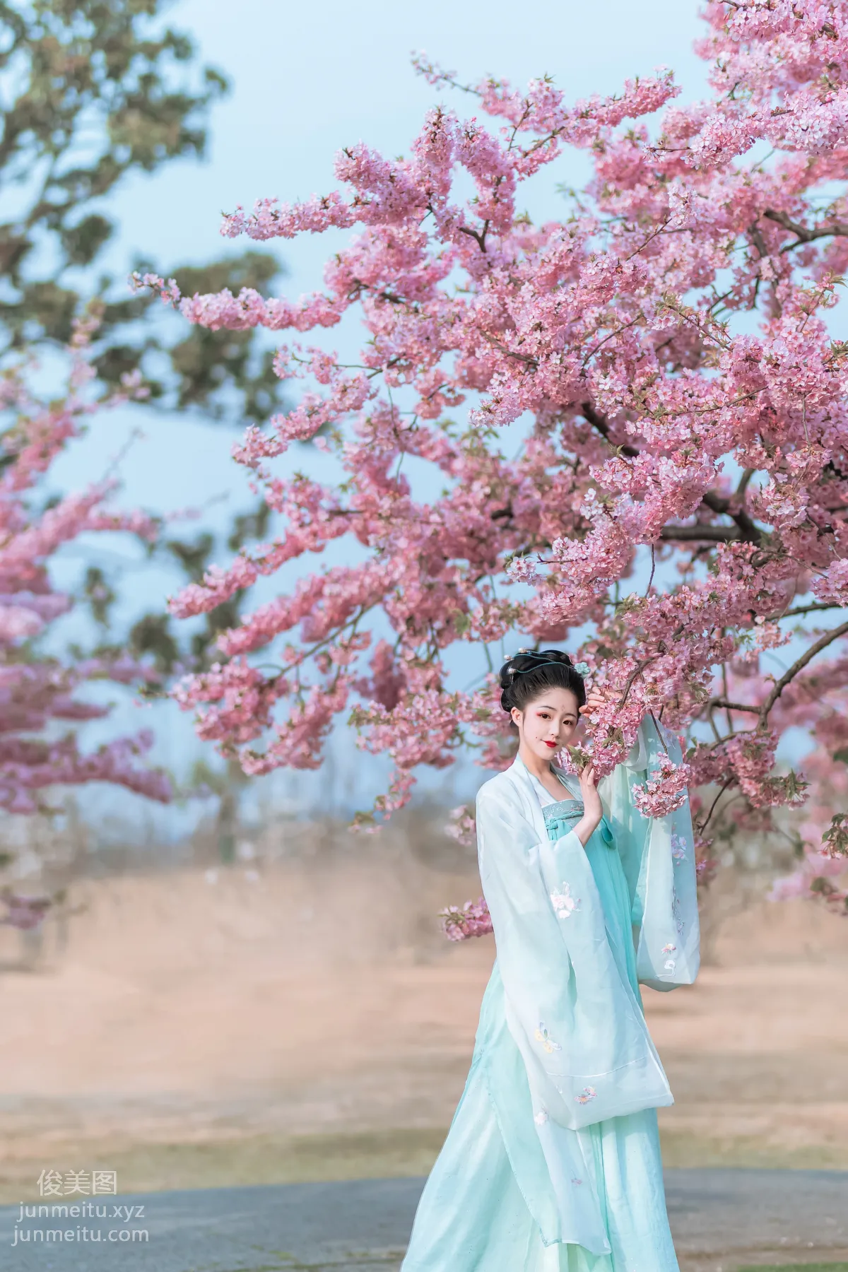 [YiTuYu] 2022.06.27 Cherry Blossom Beauty Xi Shuaiya photo 7