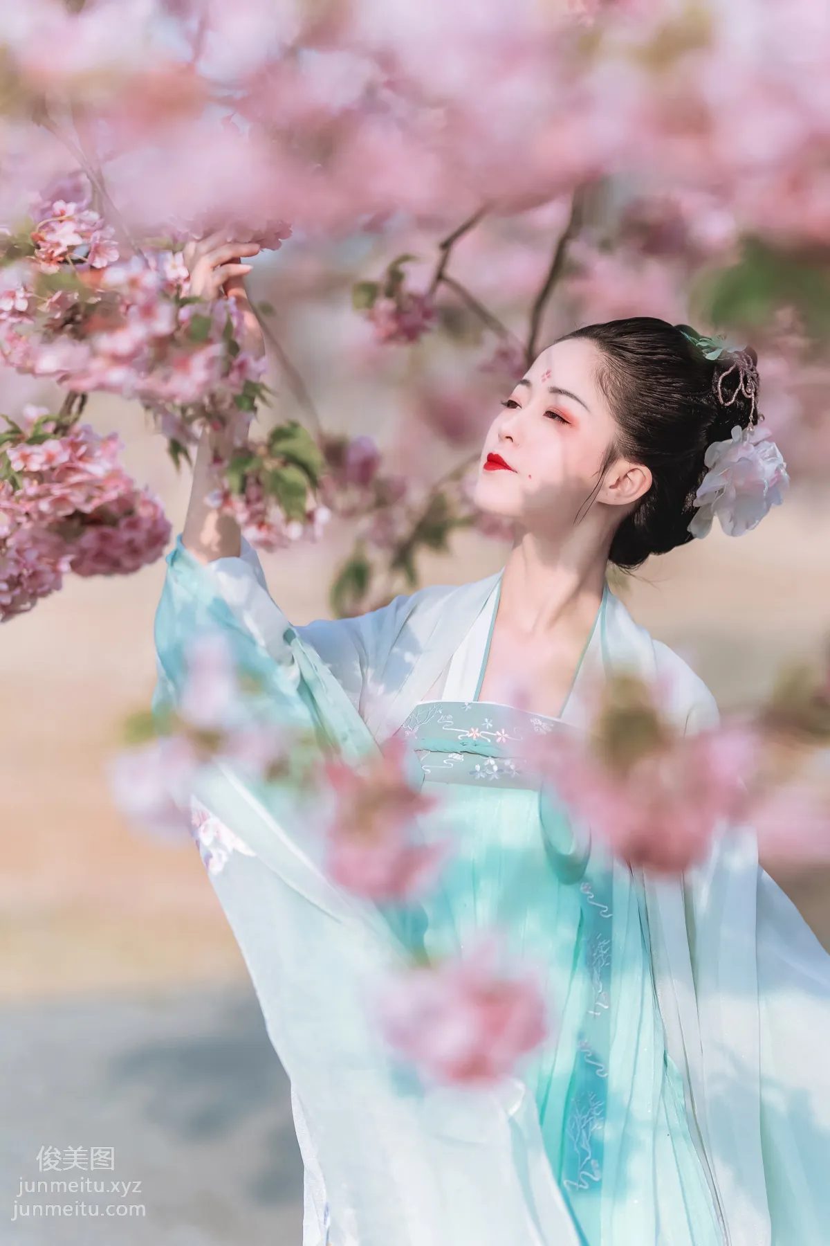 [YiTuYu] 2022.06.27 Cherry Blossom Beauty Xi Shuaiya photo 8
