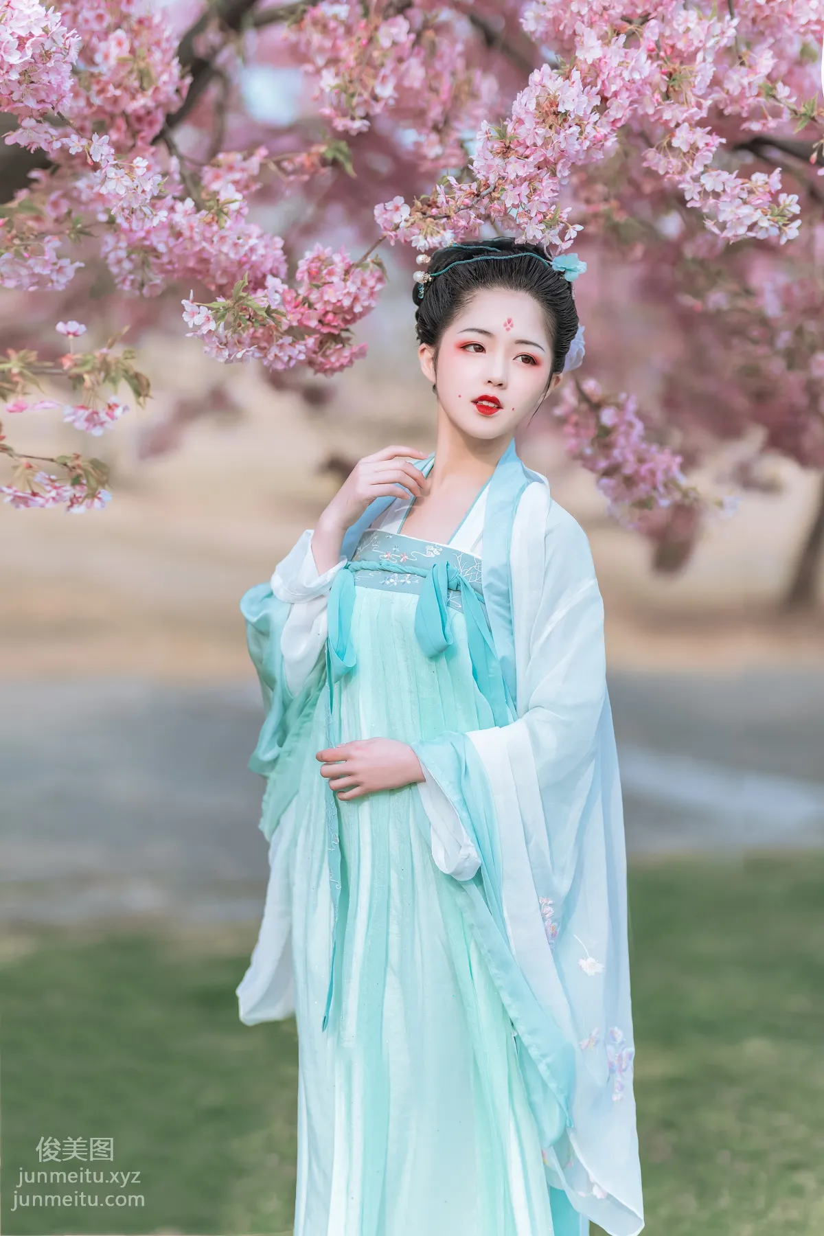 [YiTuYu] 2022.06.27 Cherry Blossom Beauty Xi Shuaiya photo 12
