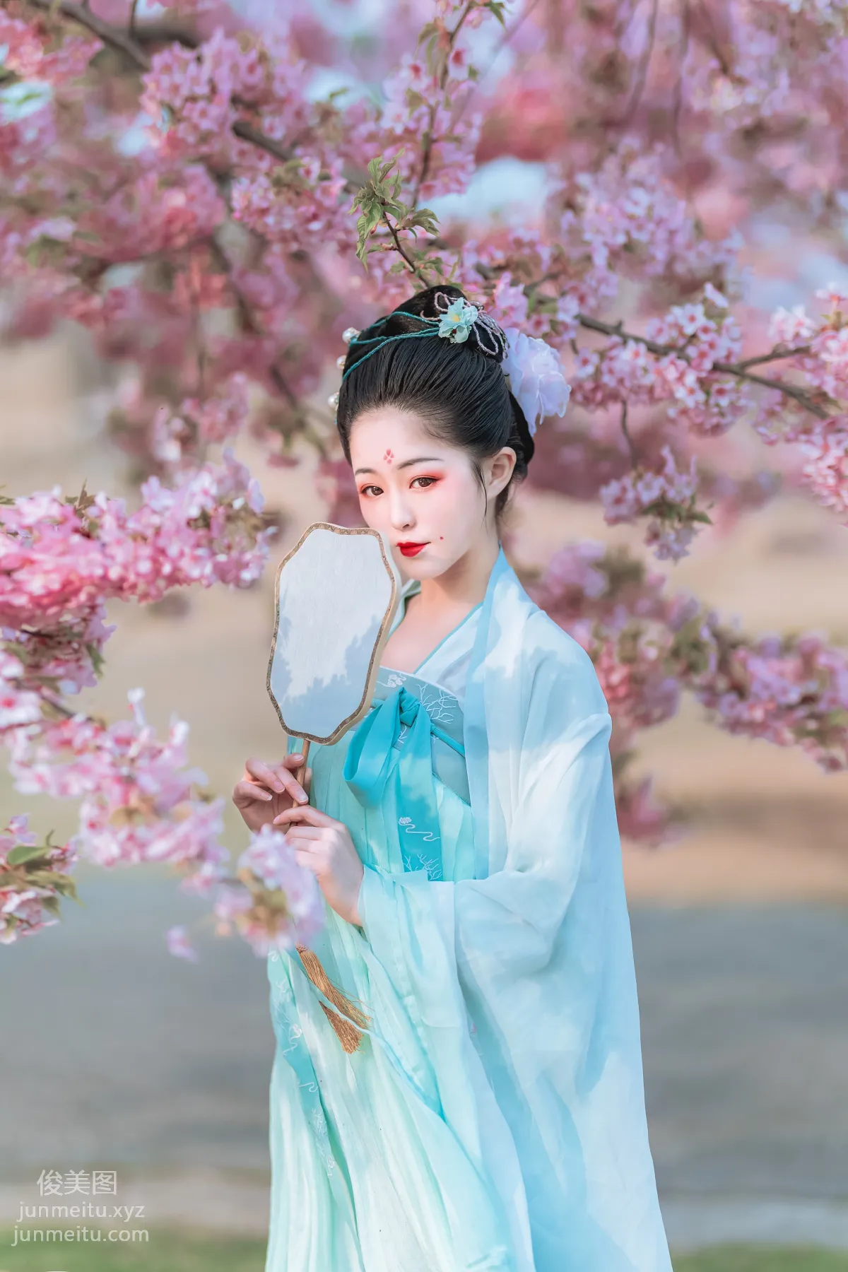 [YiTuYu] 2022.06.27 Cherry Blossom Beauty Xi Shuaiya photo 13