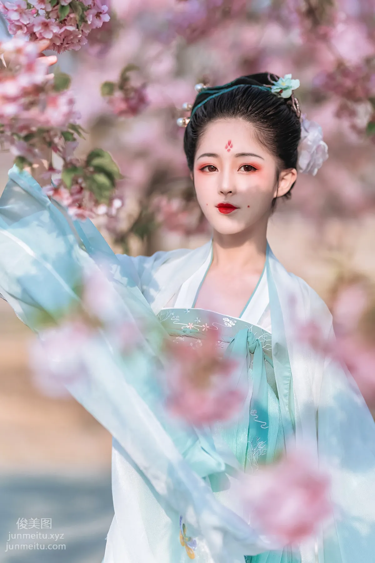 [YiTuYu] 2022.06.27 Cherry Blossom Beauty Xi Shuaiya photo 16