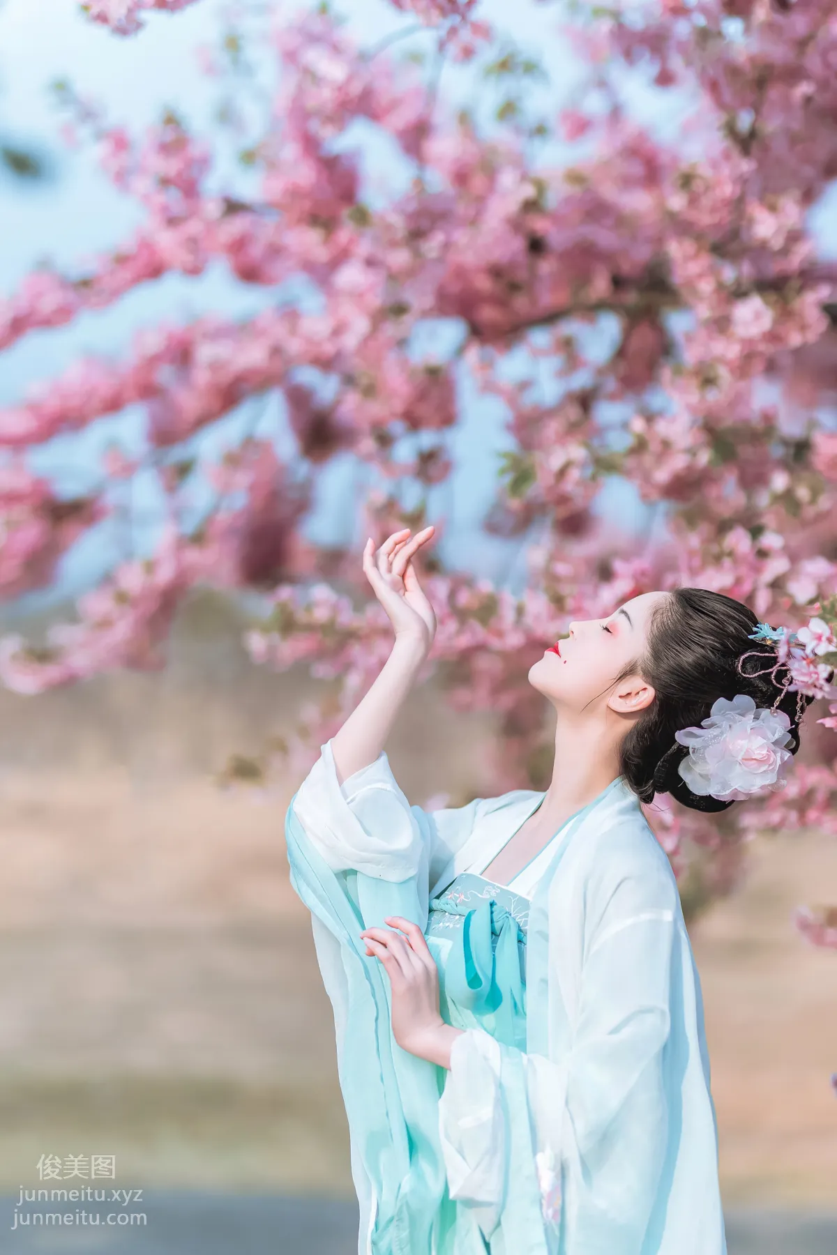 [YiTuYu] 2022.06.27 Cherry Blossom Beauty Xi Shuaiya photo 17